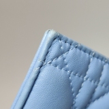 Christian Dior Lady Dior Chain Pouch Cannage Quilt Lambskin — thumbnail 17