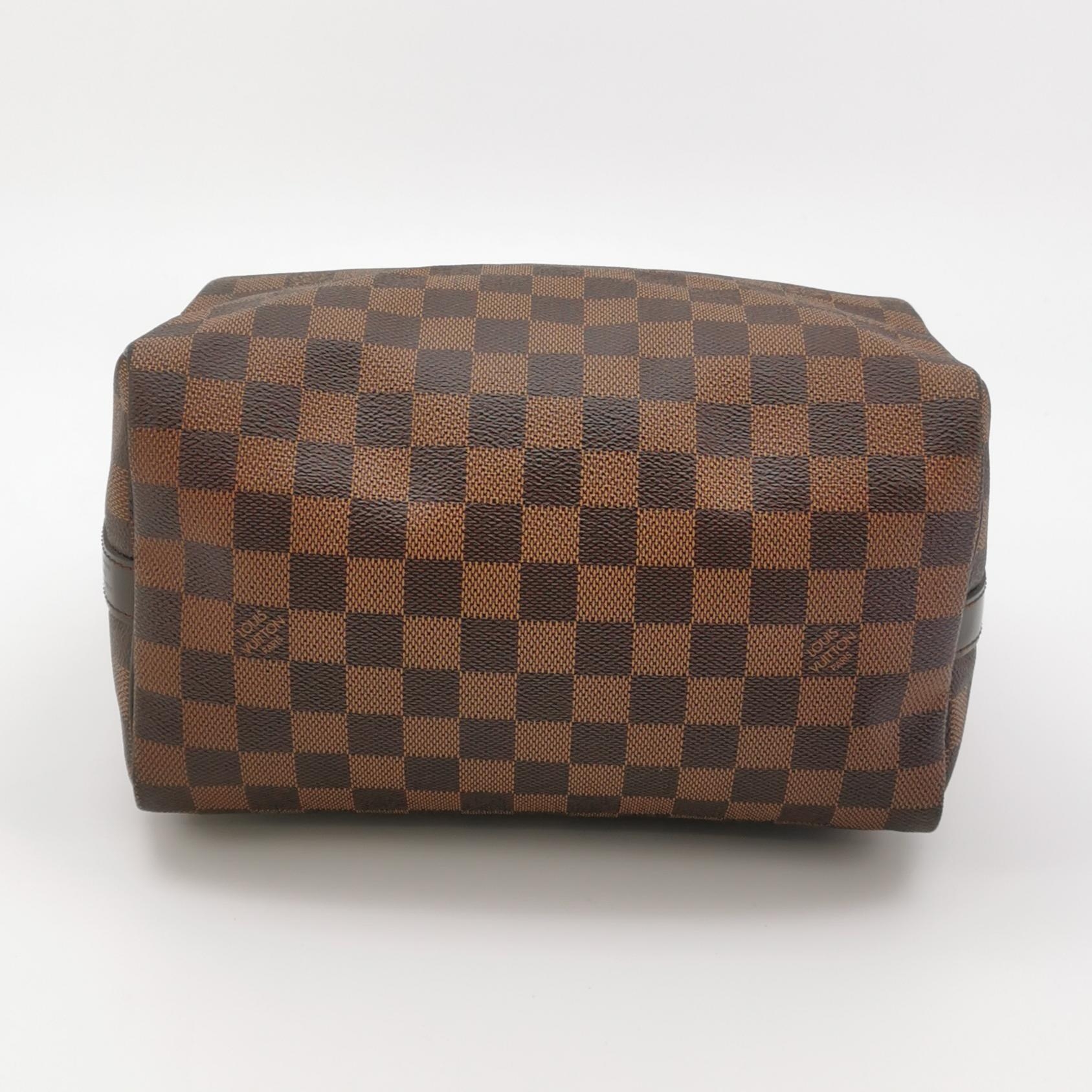 Louis Vuitton(LV) Speedy Bandouliere Bag Damier 25 — photo 6 of 19
