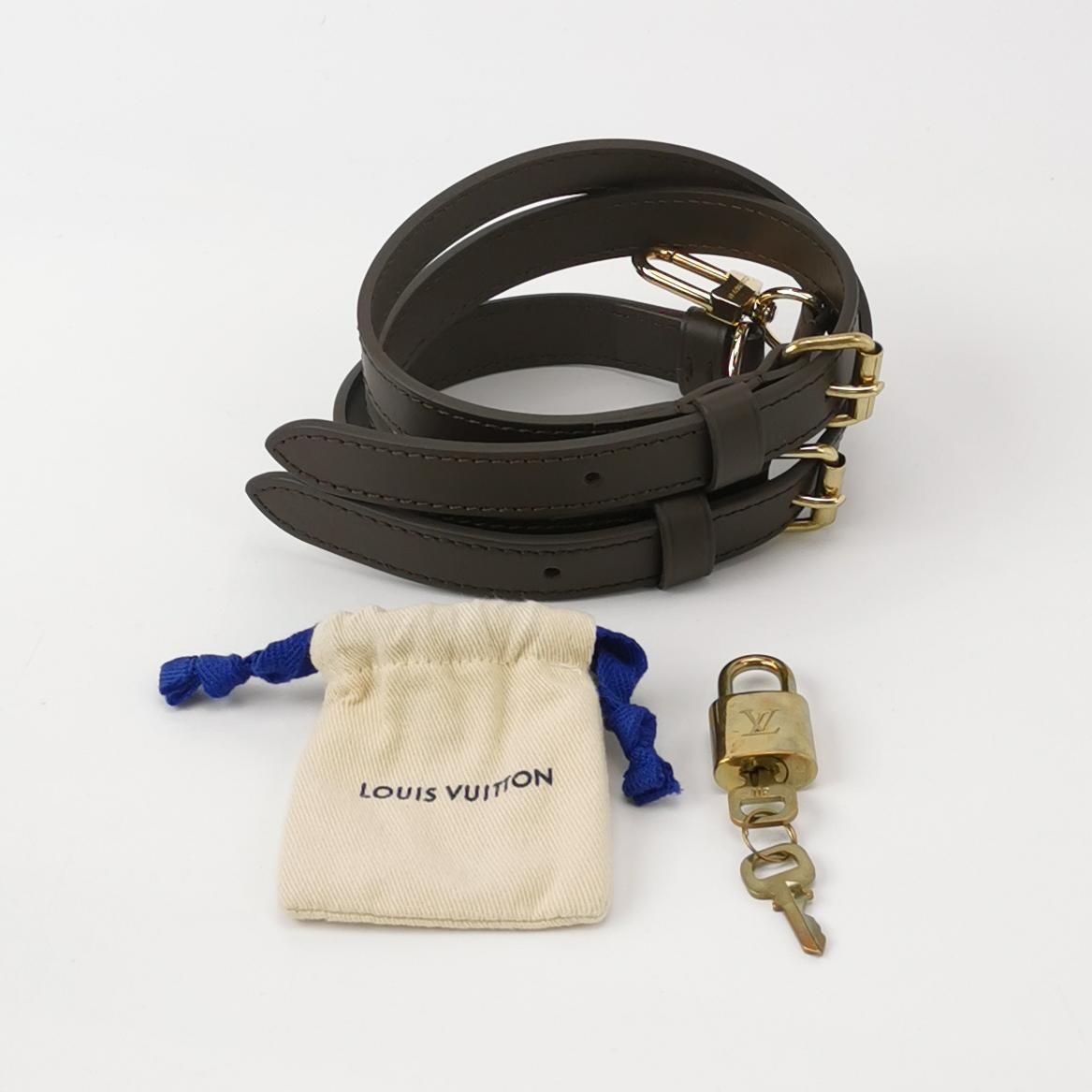Louis Vuitton(LV) Speedy Bandouliere Bag Damier 25 — photo 7 of 15