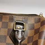 Louis Vuitton(LV) Speedy Bandouliere Bag Damier 25 — thumbnail 13