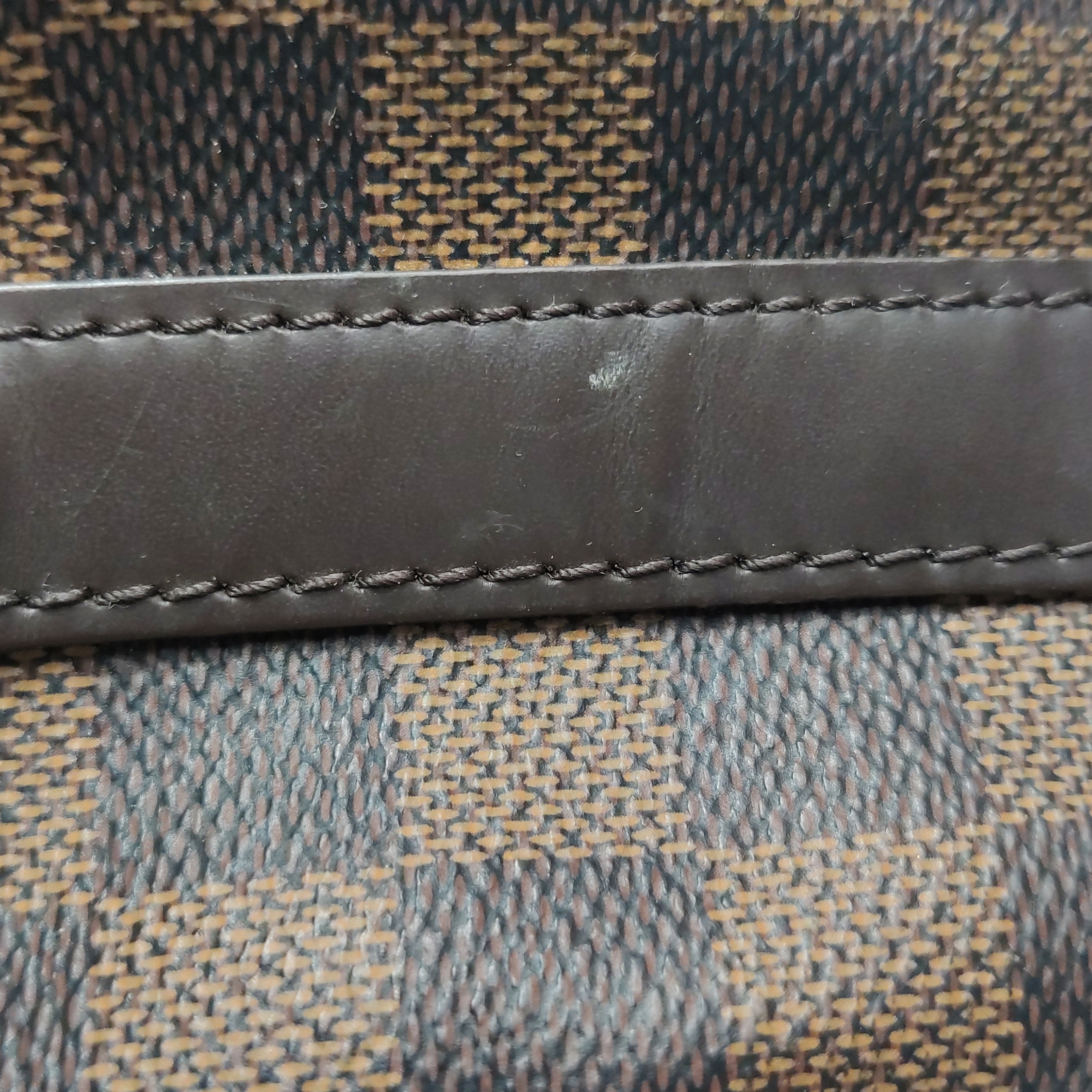 Louis Vuitton(LV) Speedy Bandouliere Bag Damier 25 — photo 14 of 21