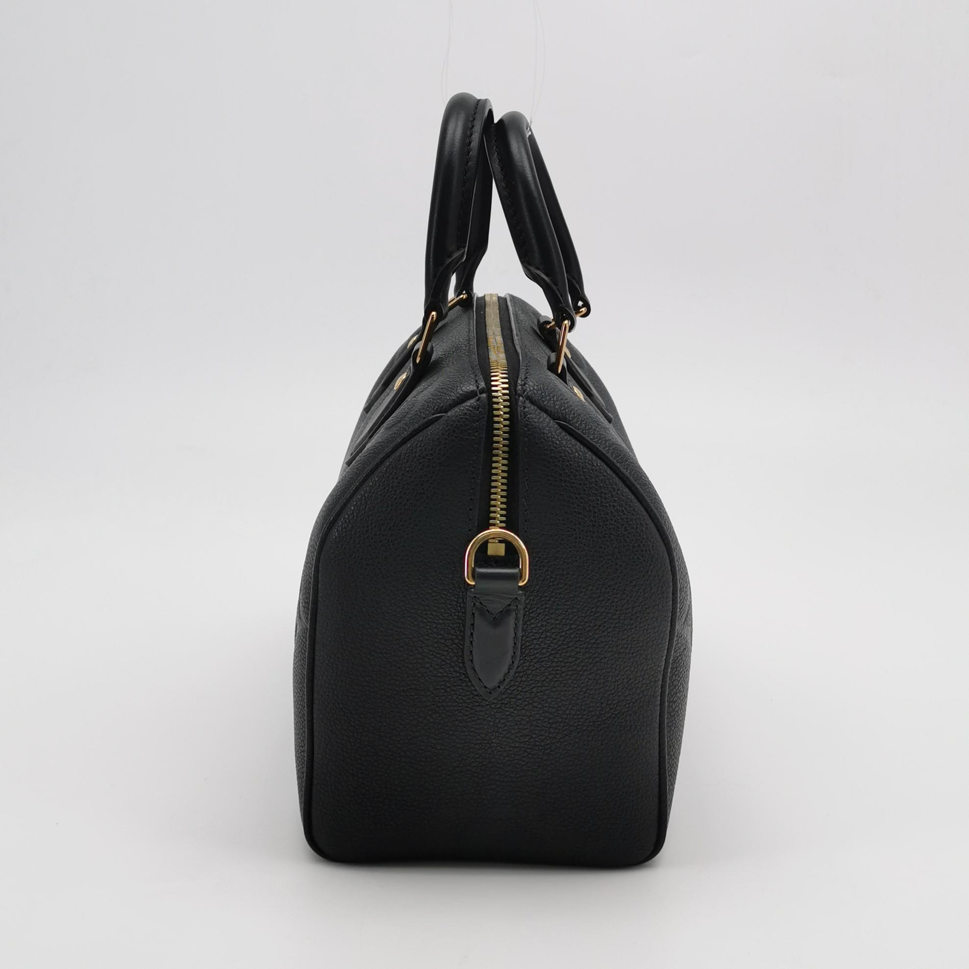 Louis Vuitton(LV) Speedy Bandouliere Bag Damier 25 — photo 4 of 18