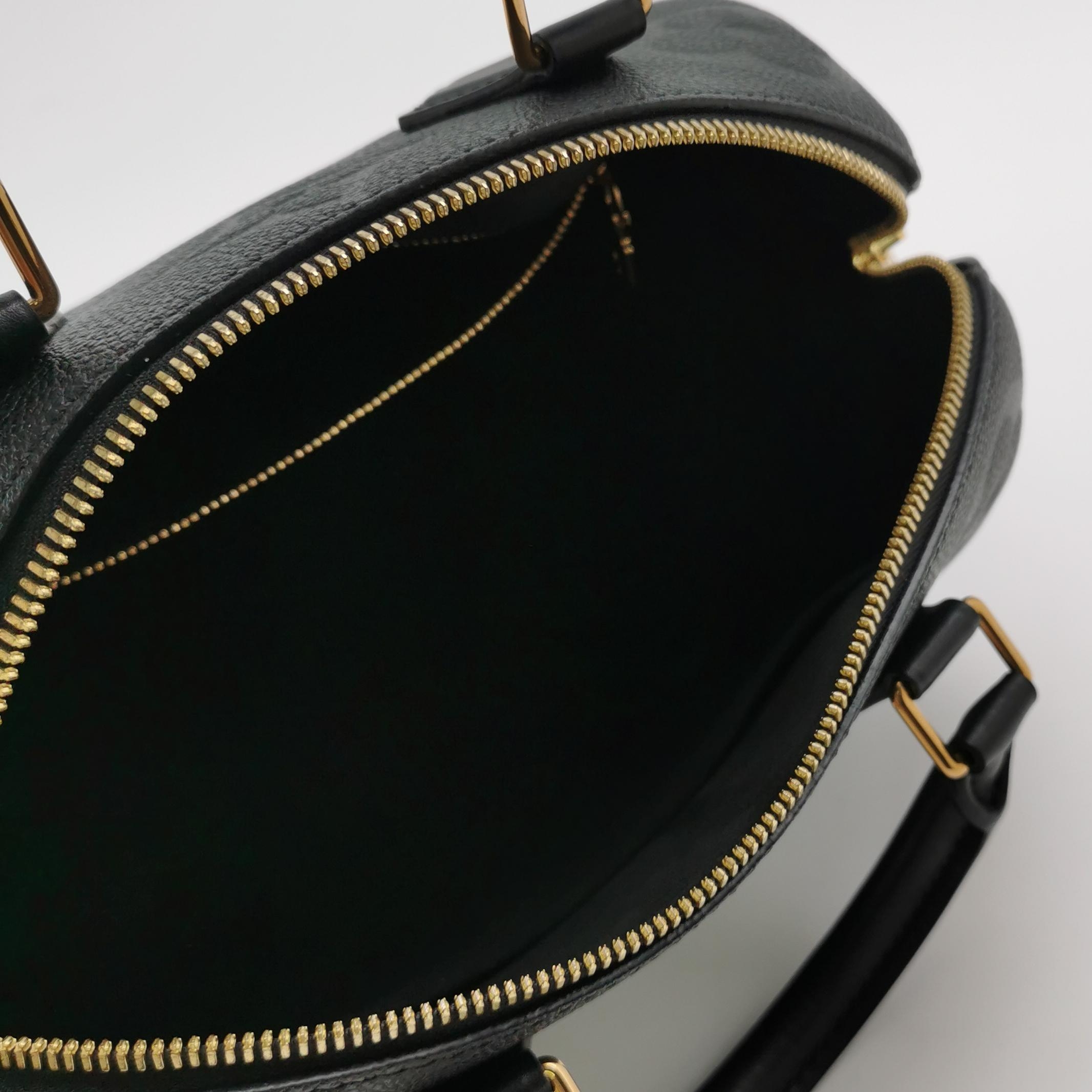 Louis Vuitton(LV) Speedy Bandouliere Bag Damier 25 — photo 7 of 18