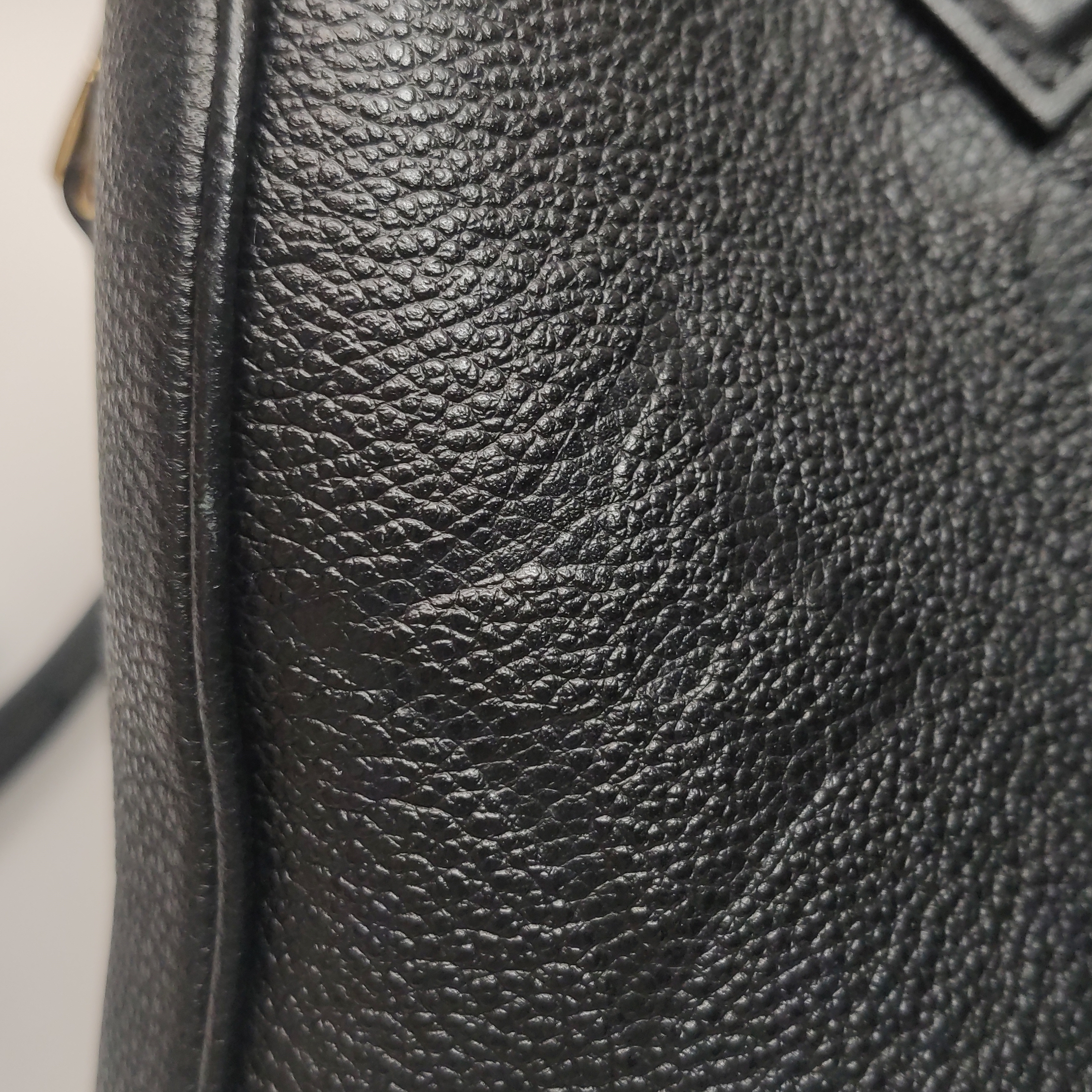 Louis Vuitton(LV) Speedy Bandouliere Bag Damier 25 — photo 11 of 18