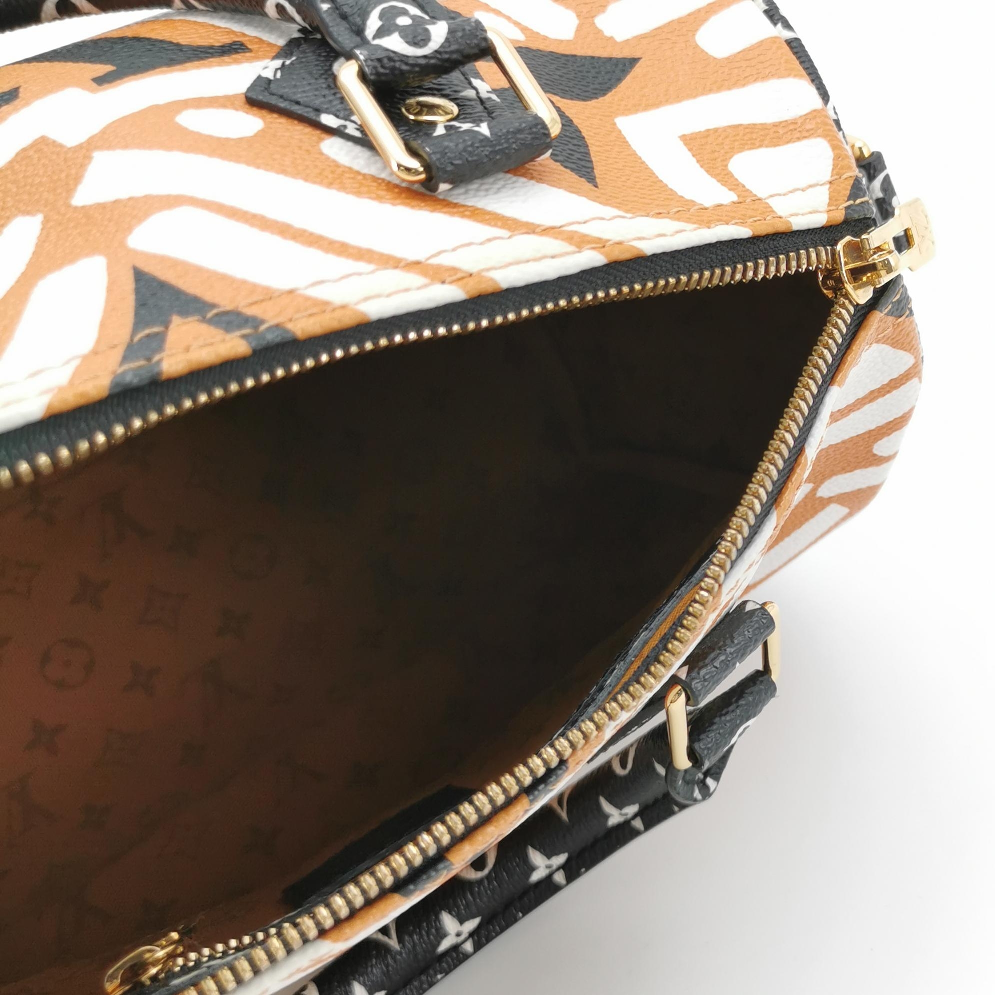 Louis Vuitton(LV) Speedy Bandouliere Bag Damier 25 — photo 8 of 18