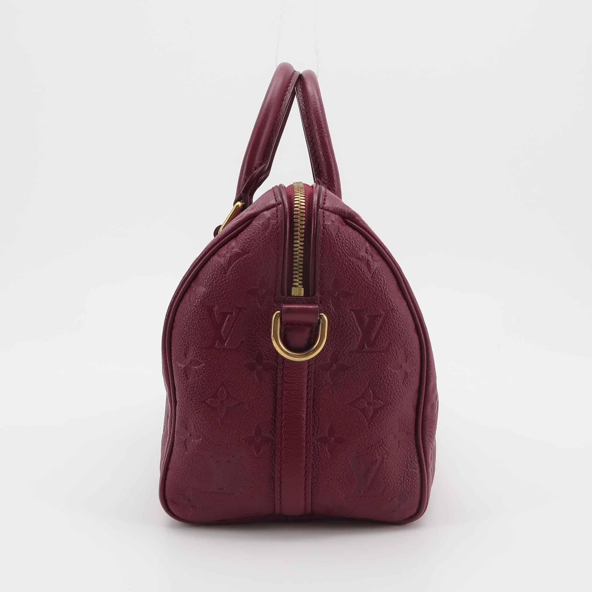 Louis Vuitton(LV) Speedy Bandouliere Bag Damier 25 — photo 4 of 20