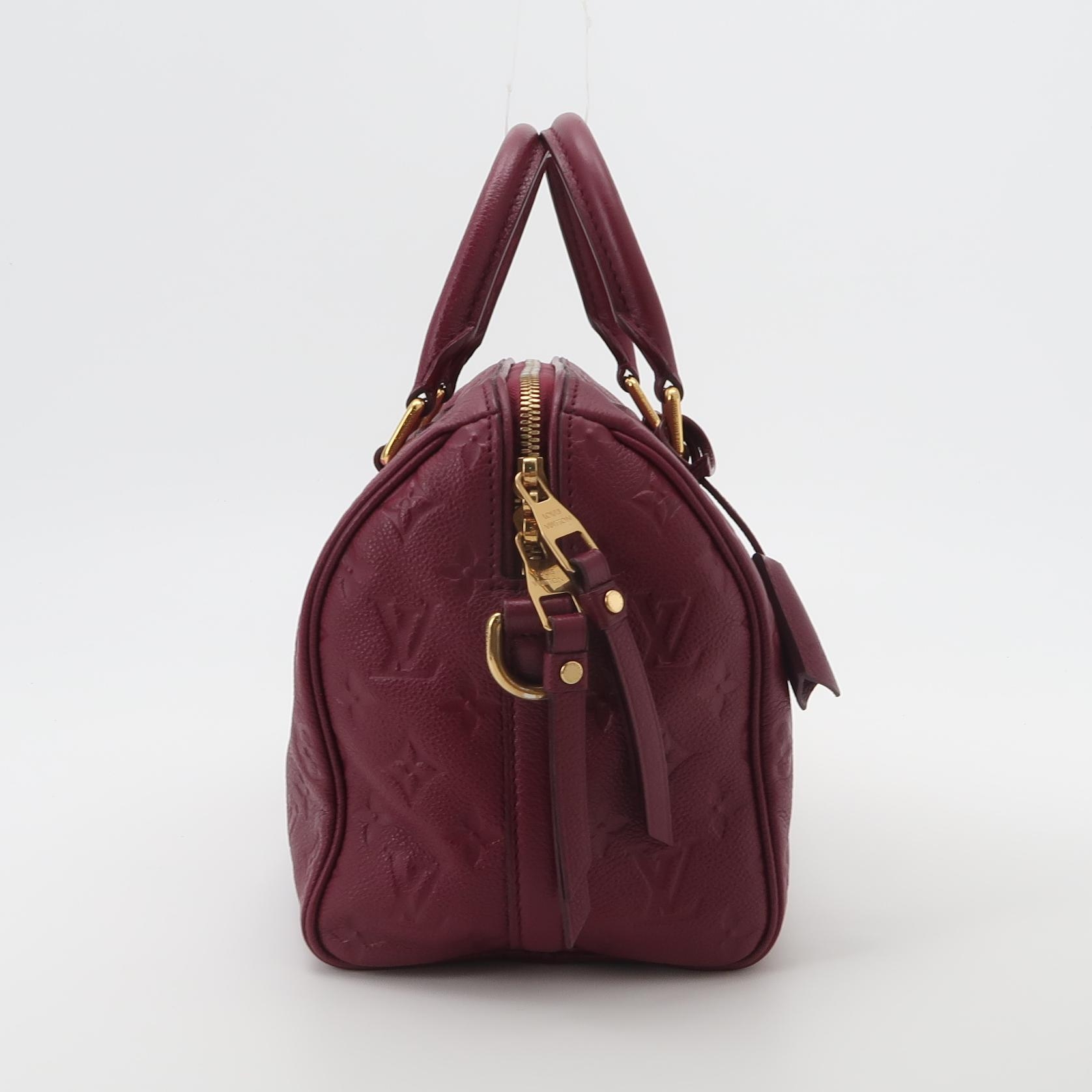 Louis Vuitton(LV) Speedy Bandouliere Bag Damier 25 — photo 3 of 20
