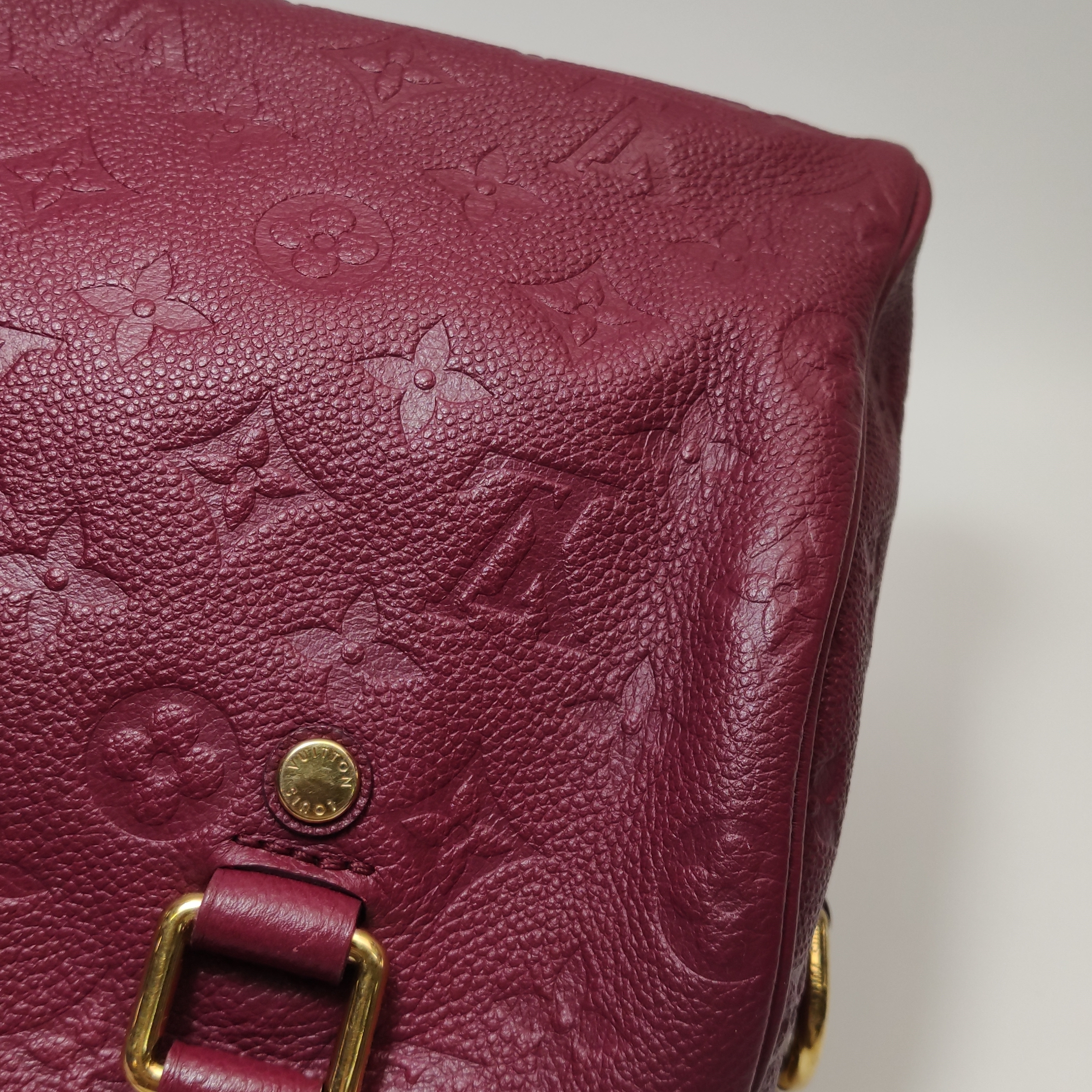 Louis Vuitton(LV) Speedy Bandouliere Bag Damier 25 — photo 16 of 20