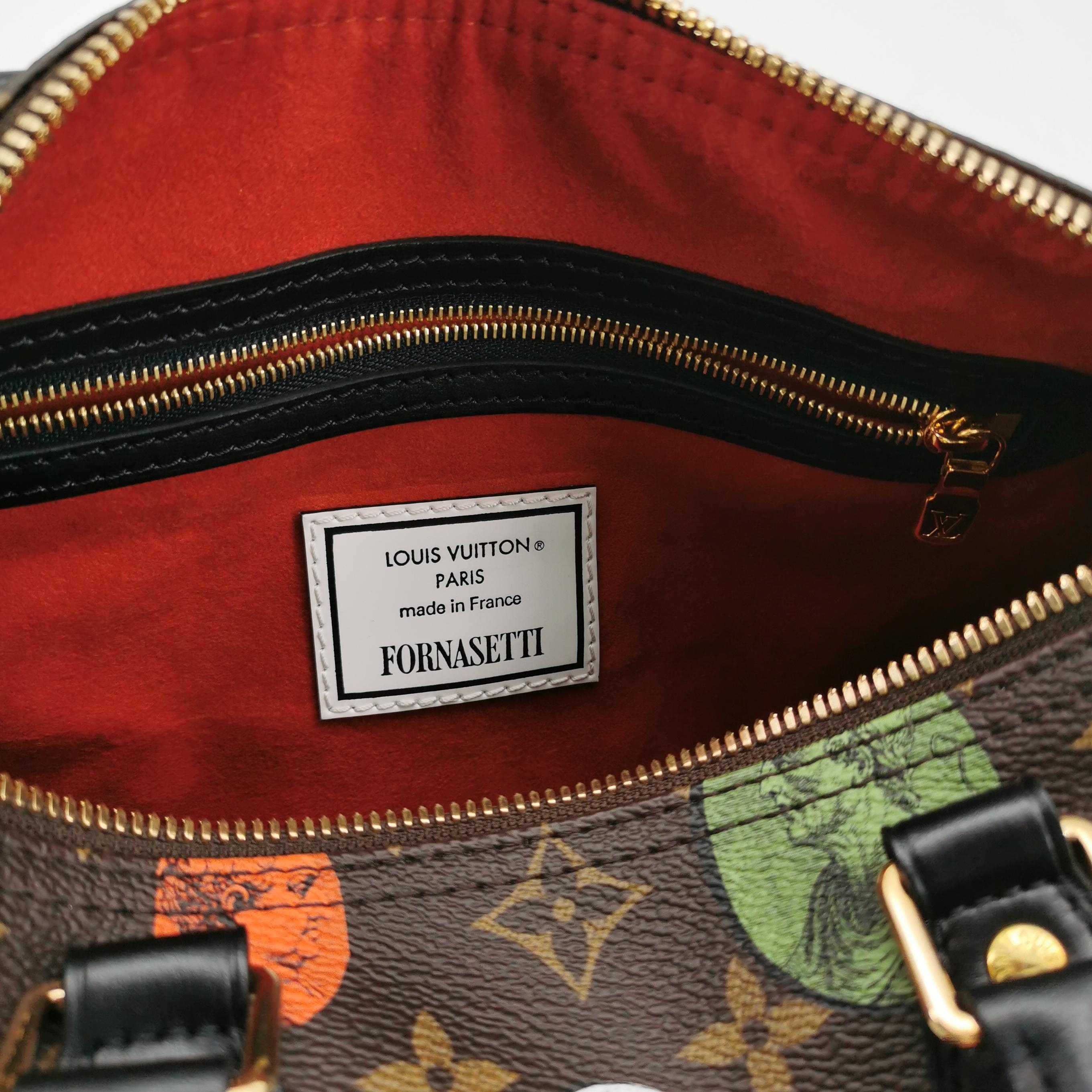 Louis Vuitton(LV) Speedy Bandouliere Bag Damier 25 — photo 10 of 17
