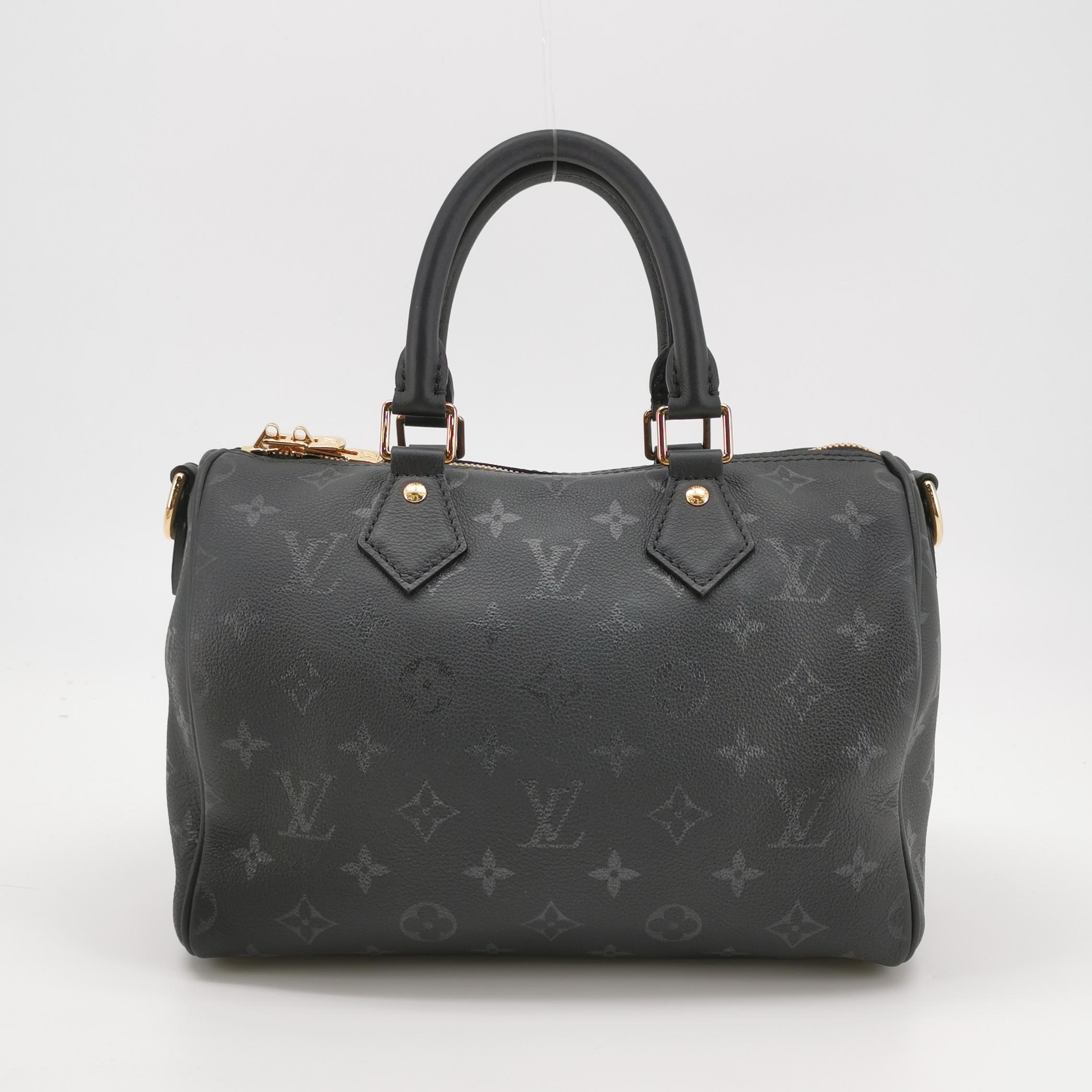 Louis Vuitton(LV) Speedy Bandouliere Bag Damier 25 — photo 6 of 19