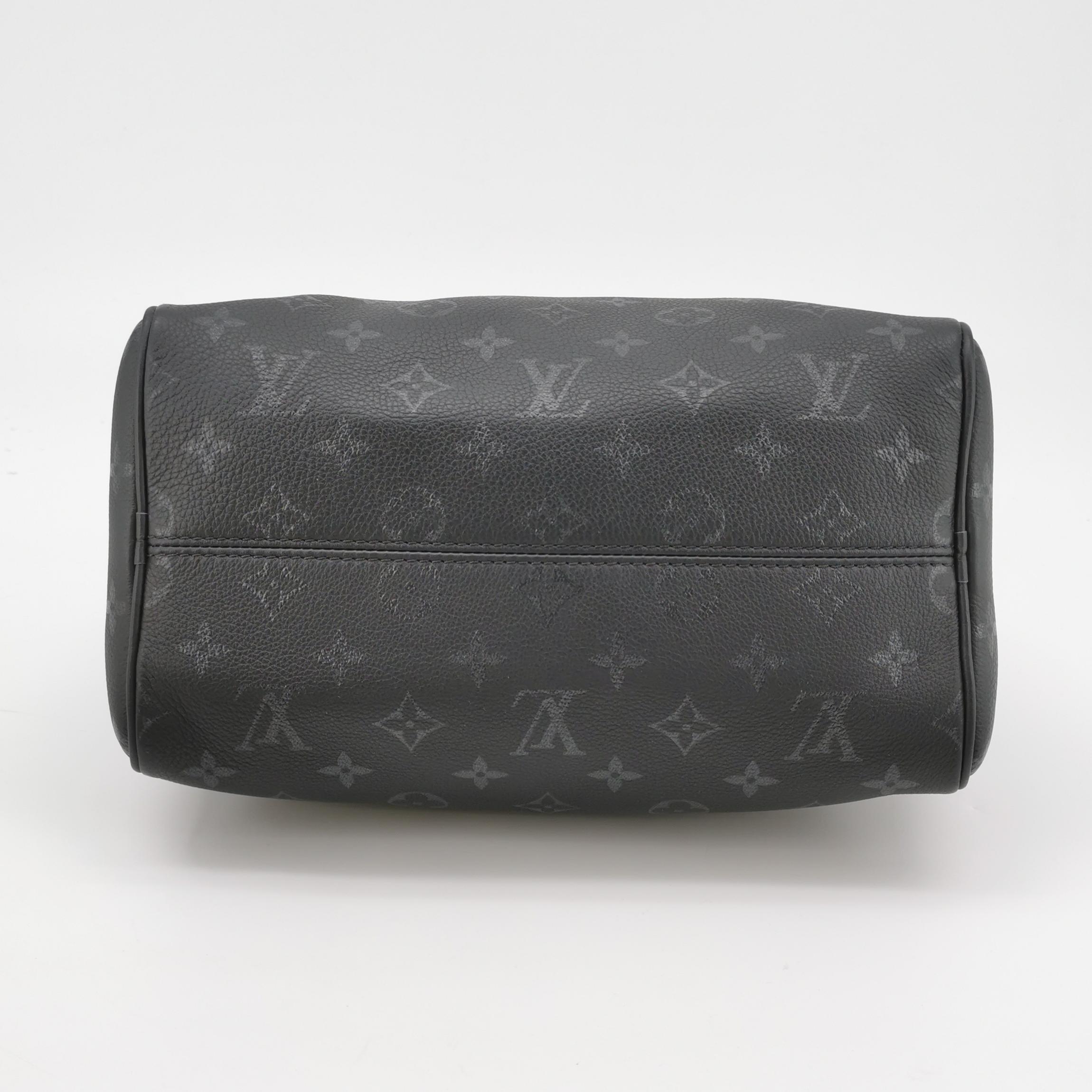 Louis Vuitton(LV) Speedy Bandouliere Bag Damier 25 — photo 5 of 19