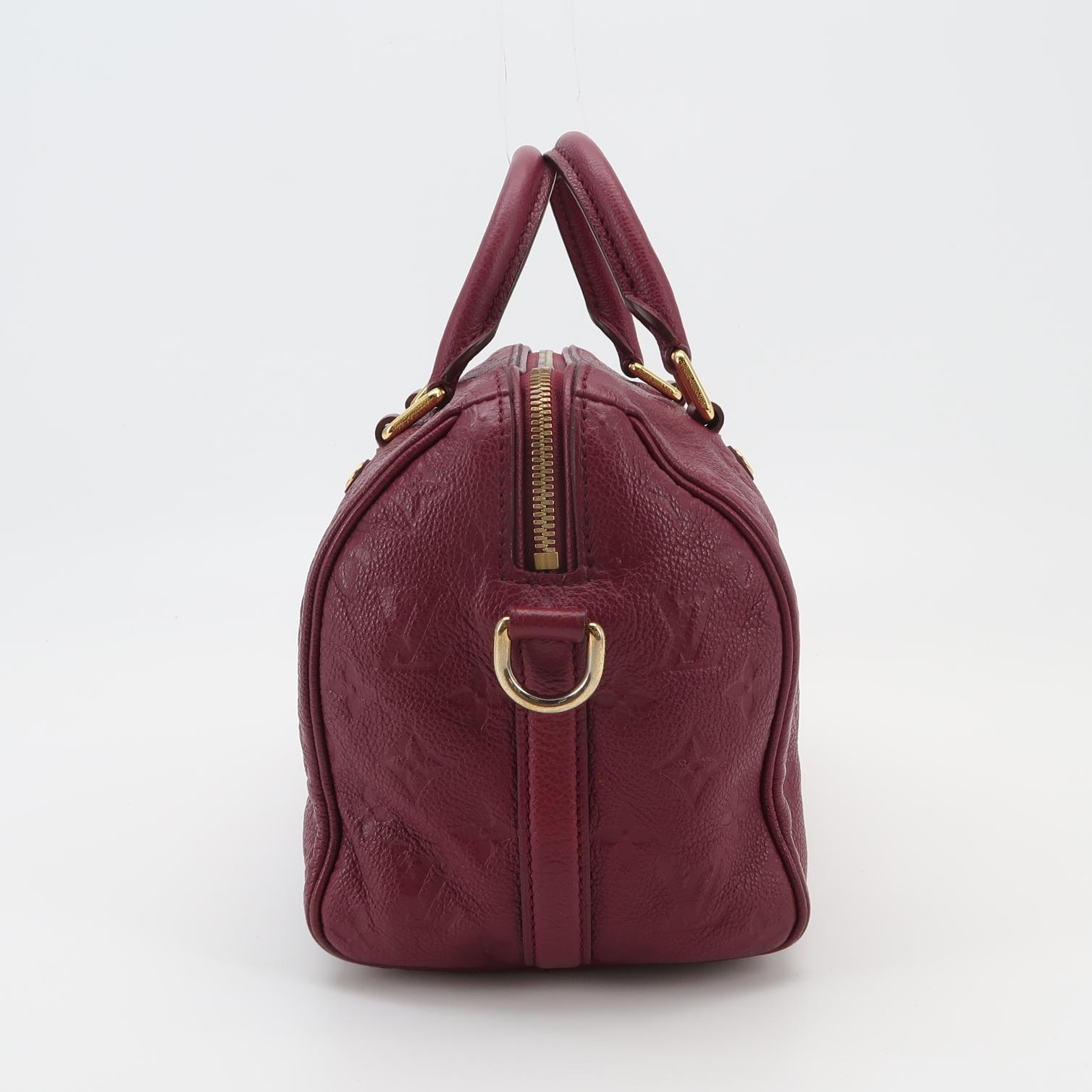 Louis Vuitton(LV) Speedy Bandouliere Bag Damier 25 — photo 3 of 20