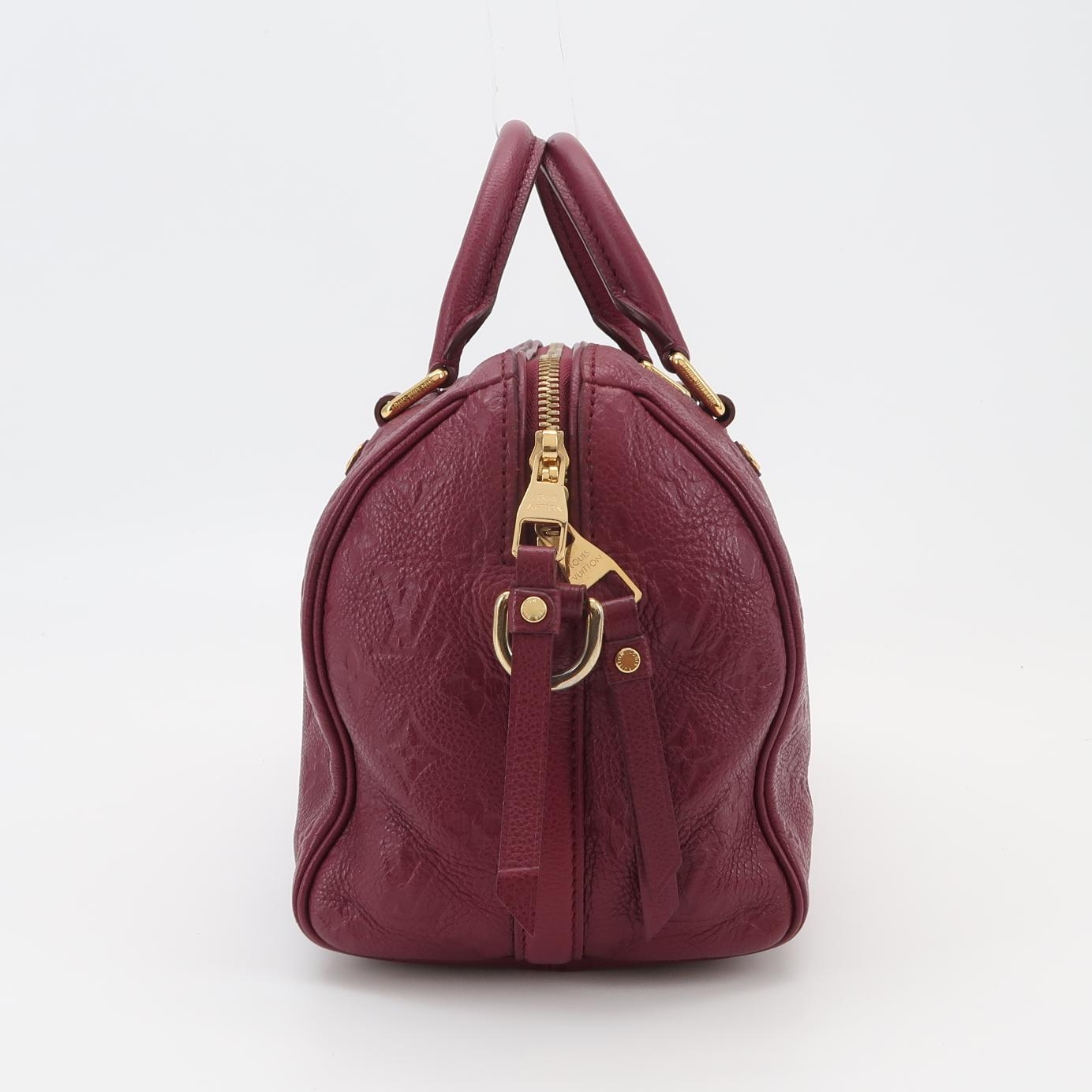 Louis Vuitton(LV) Speedy Bandouliere Bag Damier 25 — photo 4 of 20
