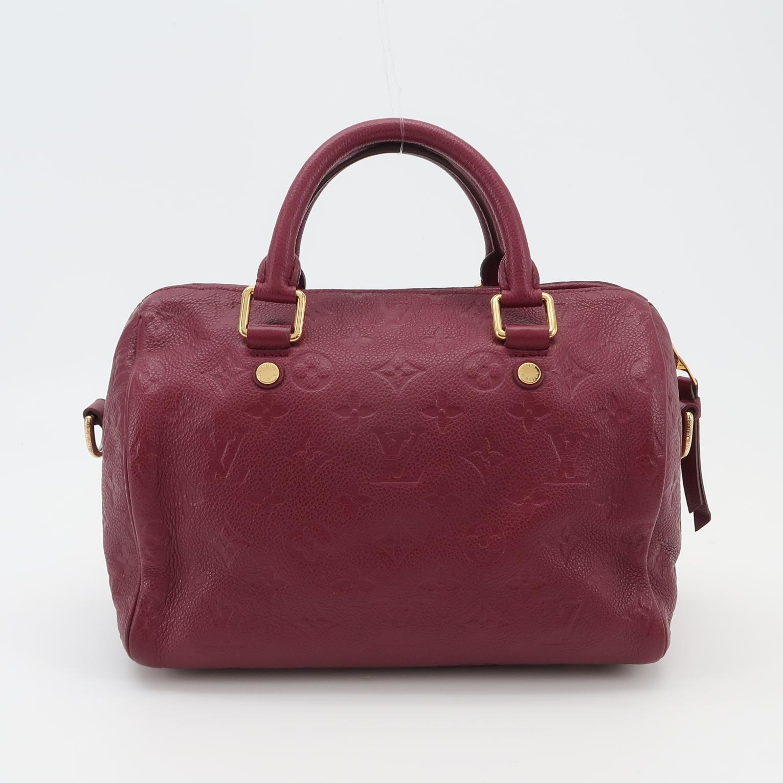 Louis Vuitton(LV) Speedy Bandouliere Bag Damier 25 — photo 5 of 20