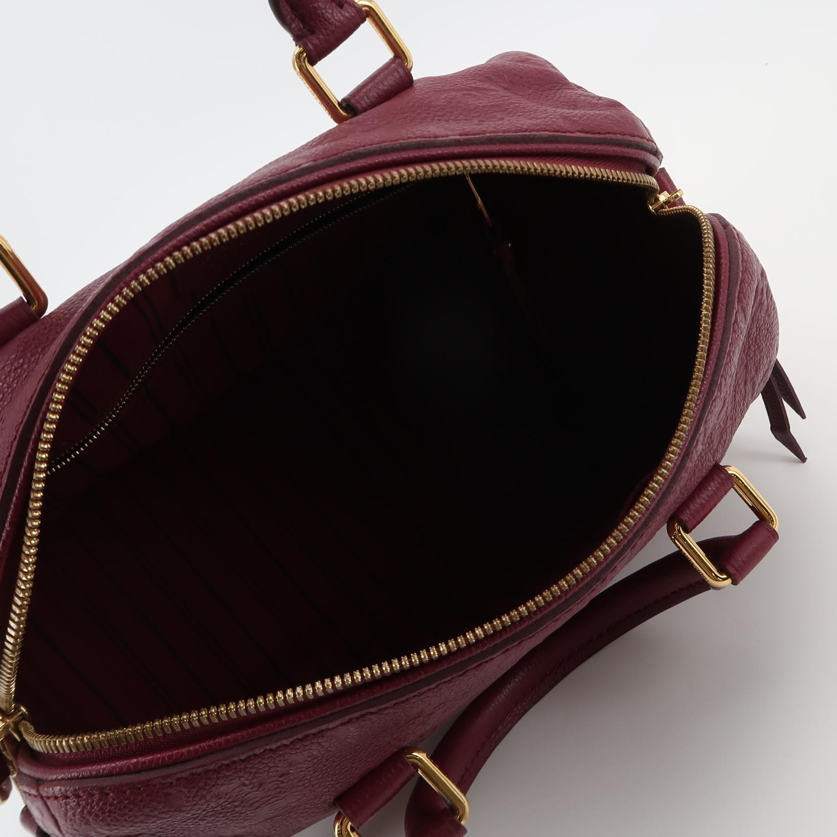 Louis Vuitton(LV) Speedy Bandouliere Bag Damier 25 — photo 8 of 20
