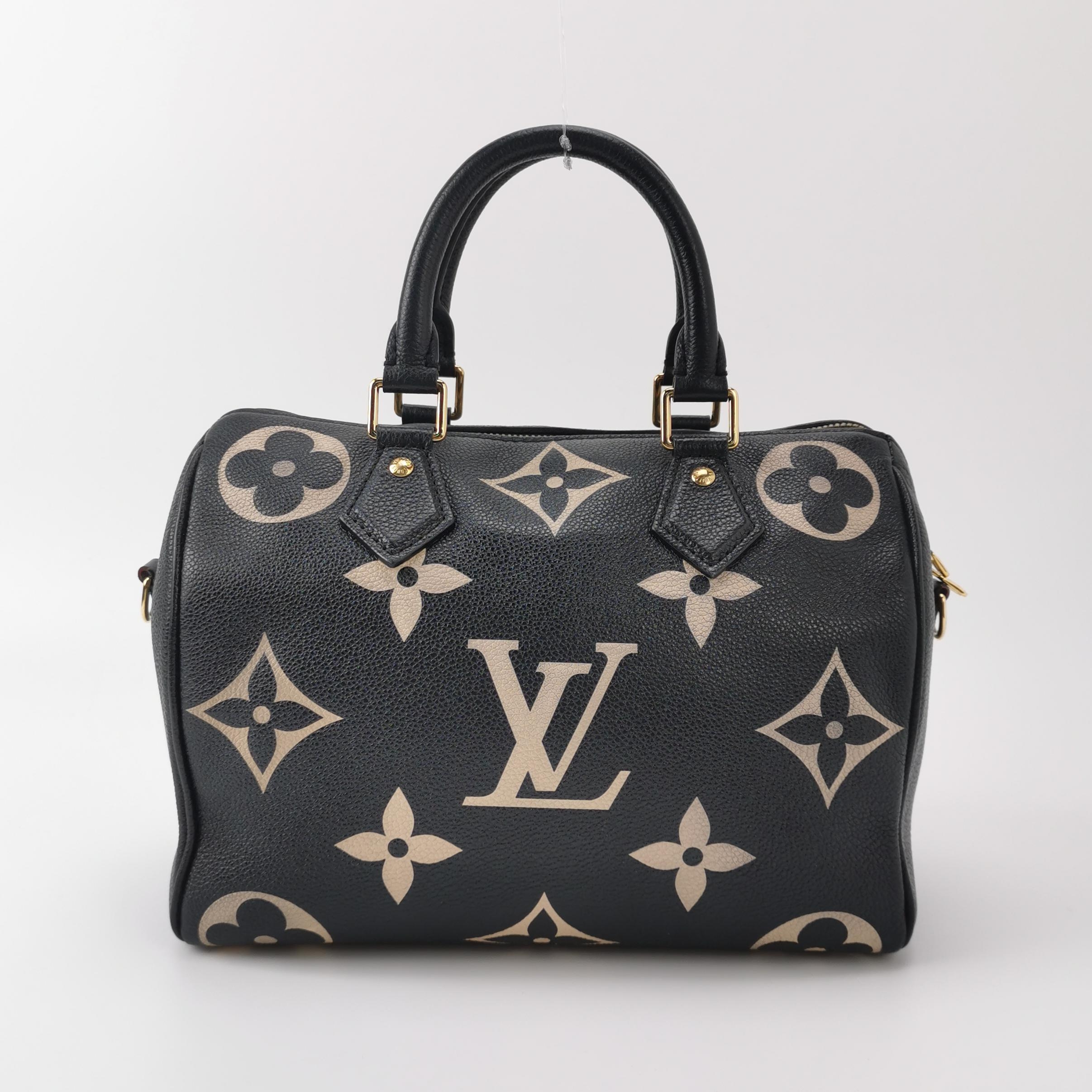 Louis Vuitton(LV) Speedy Bandouliere Bag Damier 25 — photo 5 of 20