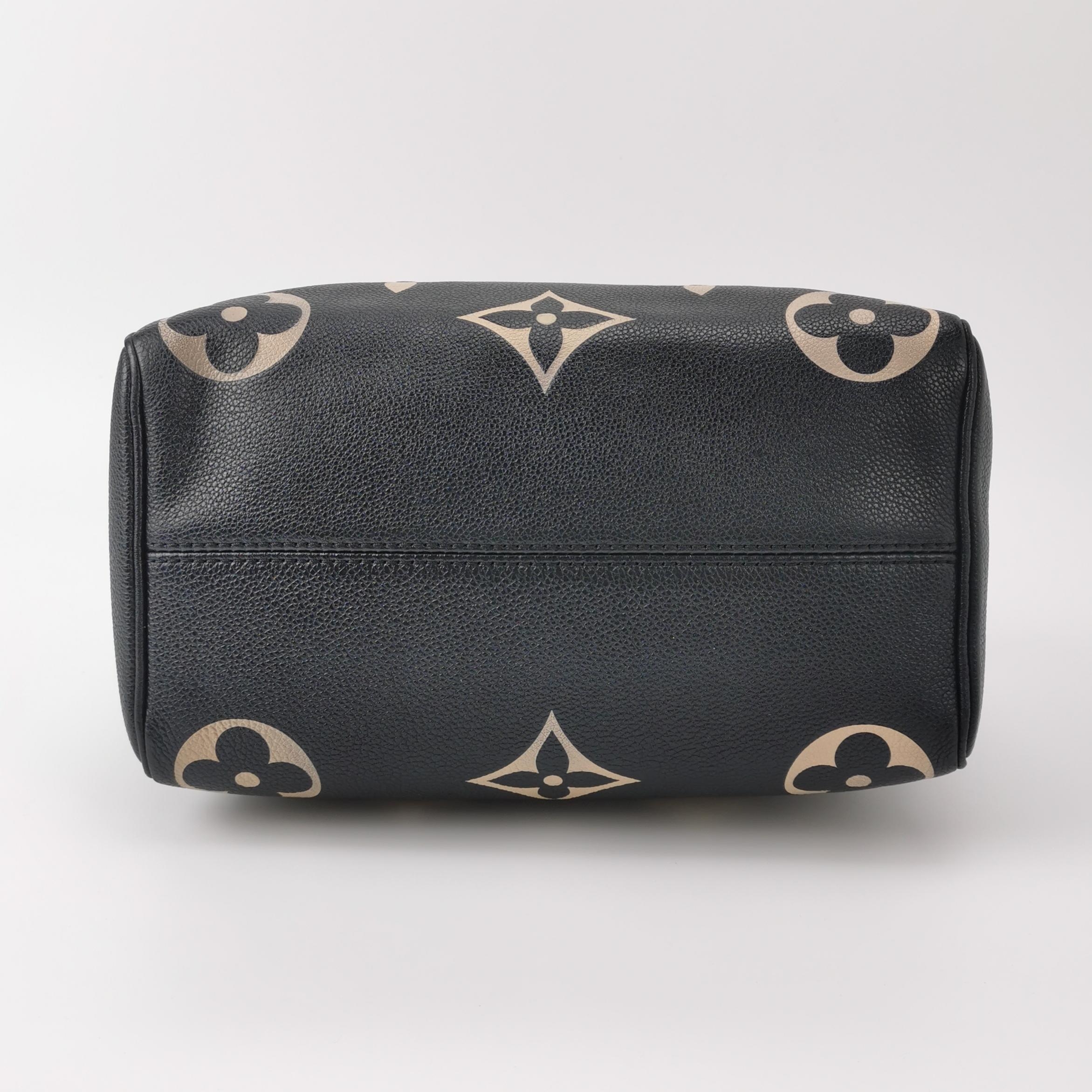 Louis Vuitton(LV) Speedy Bandouliere Bag Damier 25 — photo 6 of 20