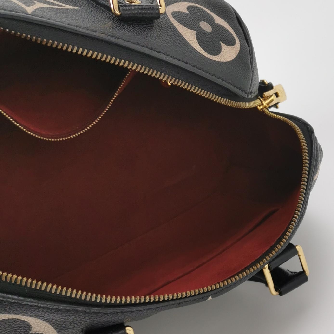 Louis Vuitton(LV) Speedy Bandouliere Bag Damier 25 — photo 9 of 20