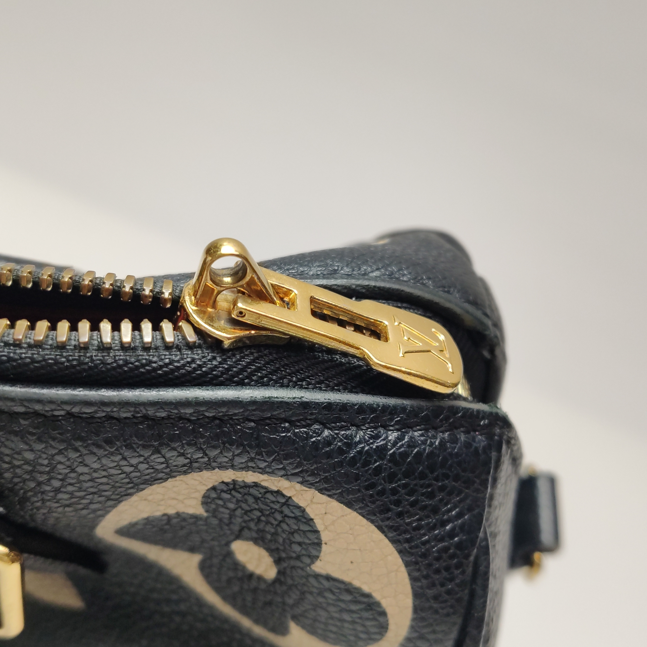 Louis Vuitton(LV) Speedy Bandouliere Bag Damier 25 — photo 10 of 20