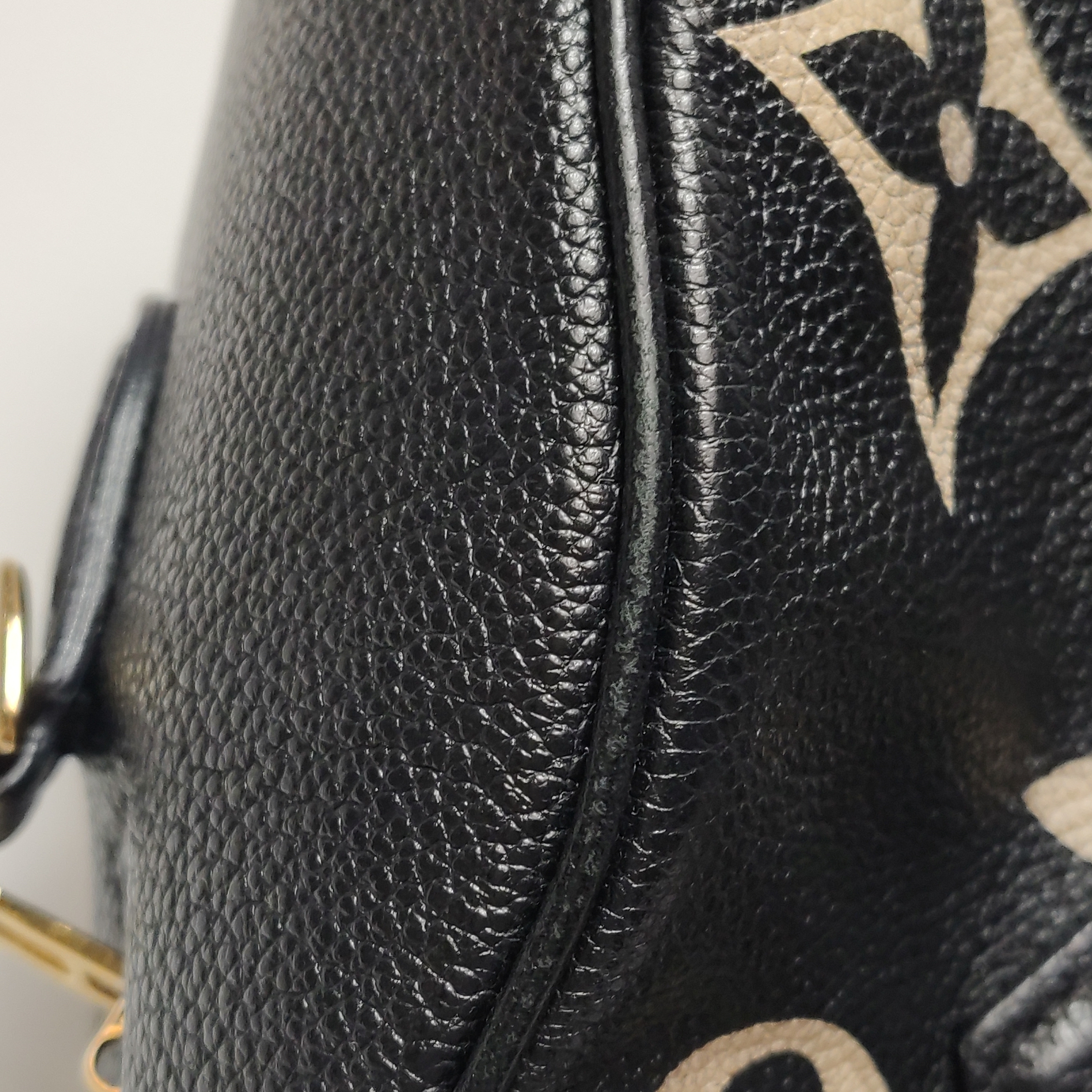 Louis Vuitton(LV) Speedy Bandouliere Bag Damier 25 — photo 12 of 20