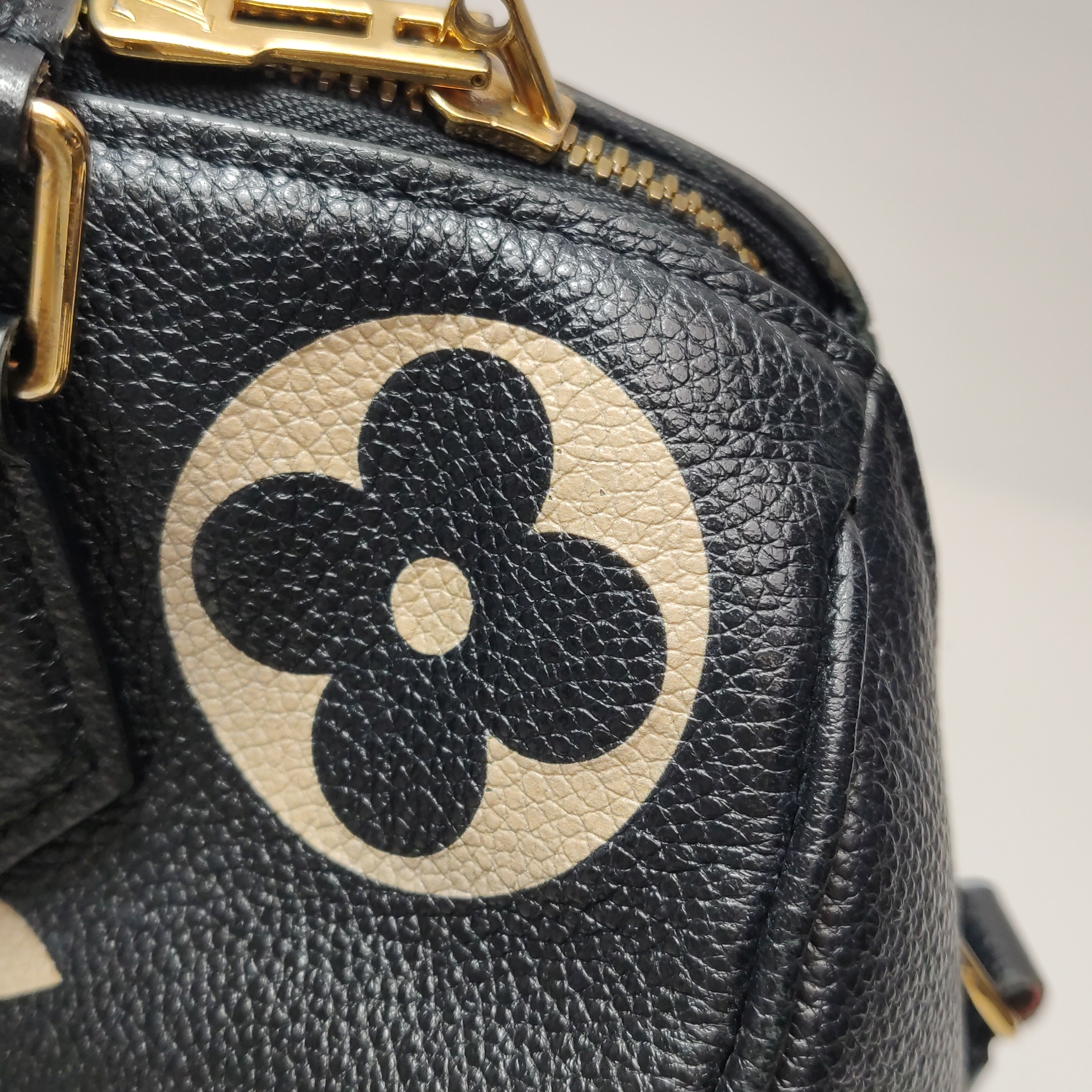 Louis Vuitton(LV) Speedy Bandouliere Bag Damier 25 — photo 19 of 20