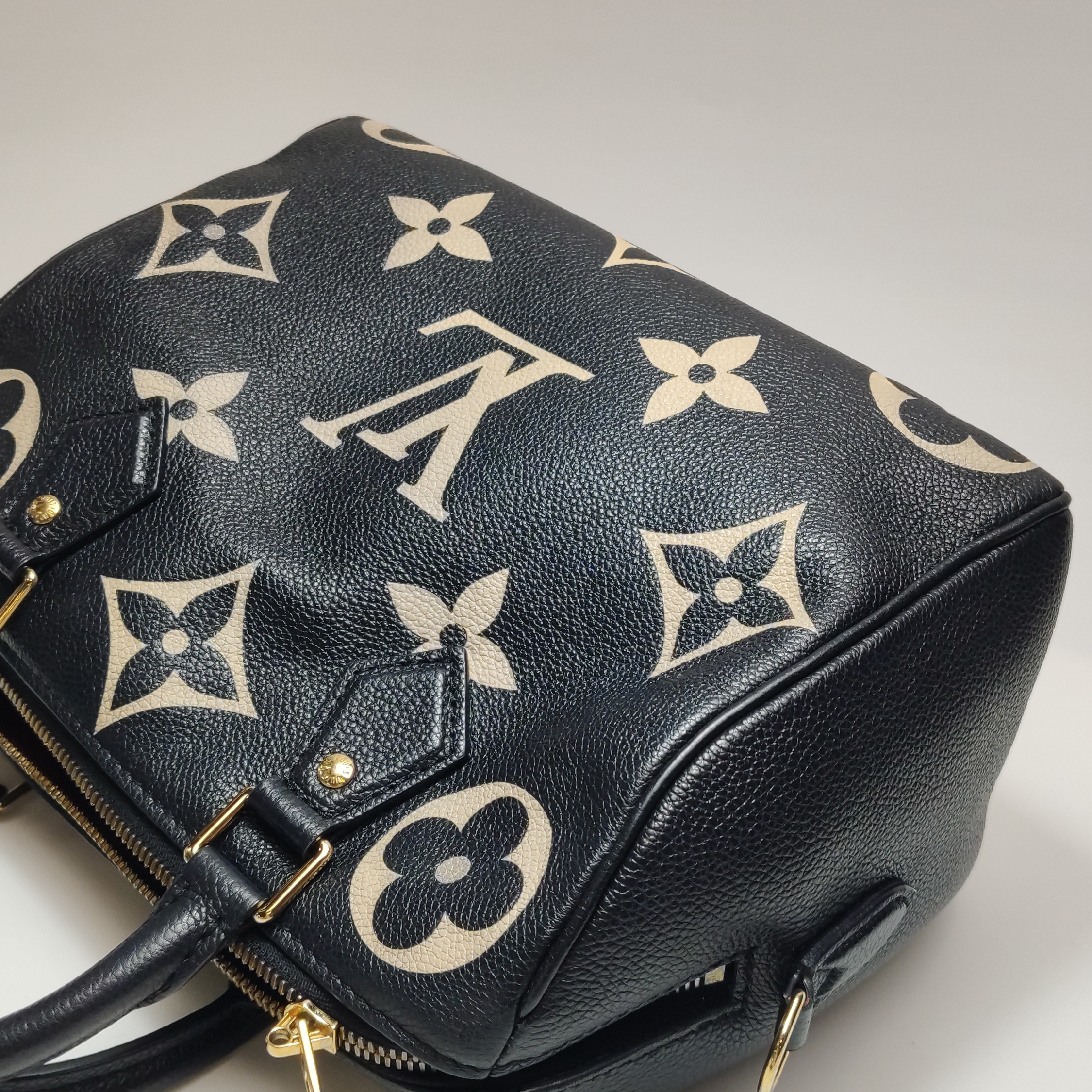 Louis Vuitton(LV) Speedy Bandouliere Bag Damier 25 — photo 17 of 20