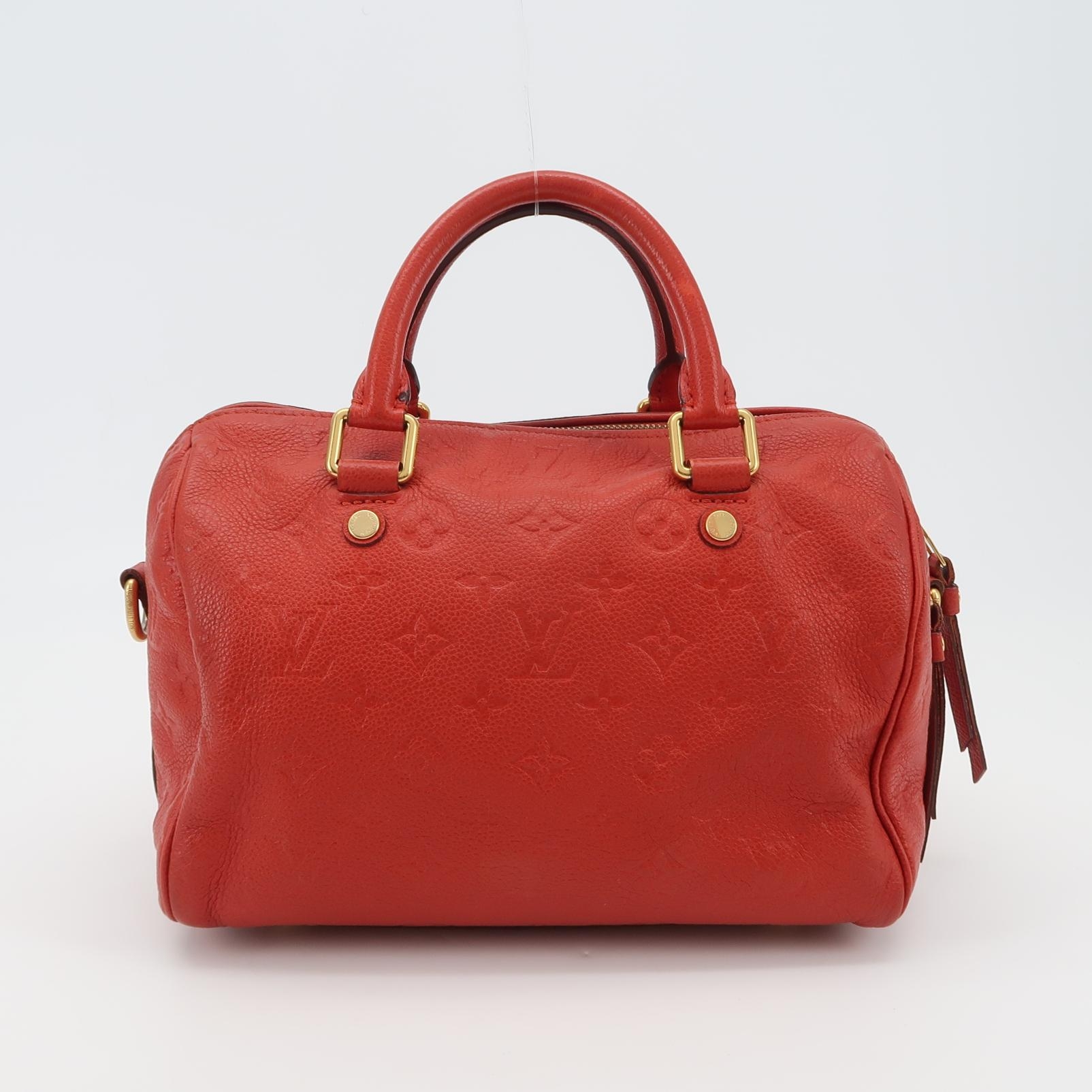 Louis Vuitton(LV) Speedy Bandouliere Bag Damier 25 — photo 5 of 20