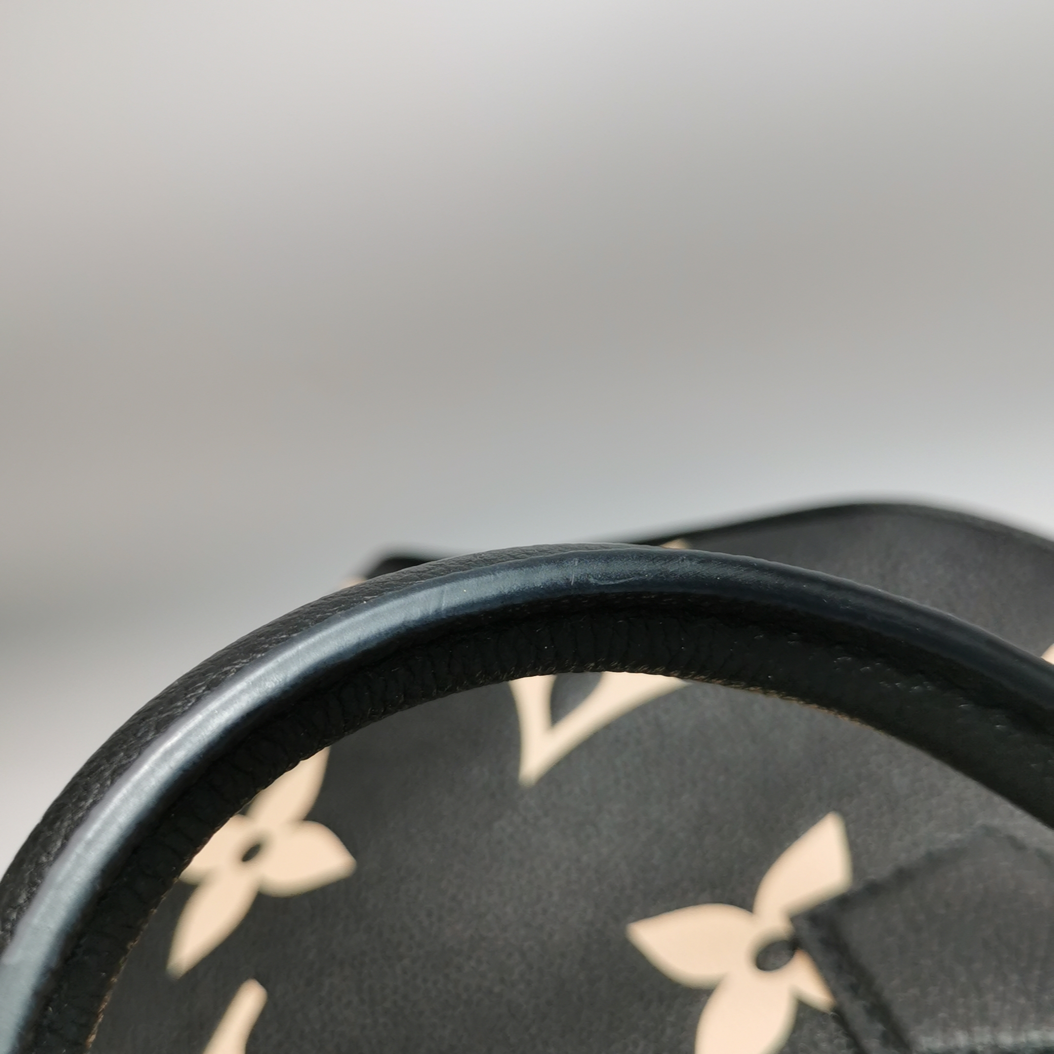 Louis Vuitton(LV) Speedy Bandouliere Bag Bicolor Monogram Empreinte Giant 25 — photo 12 of 15