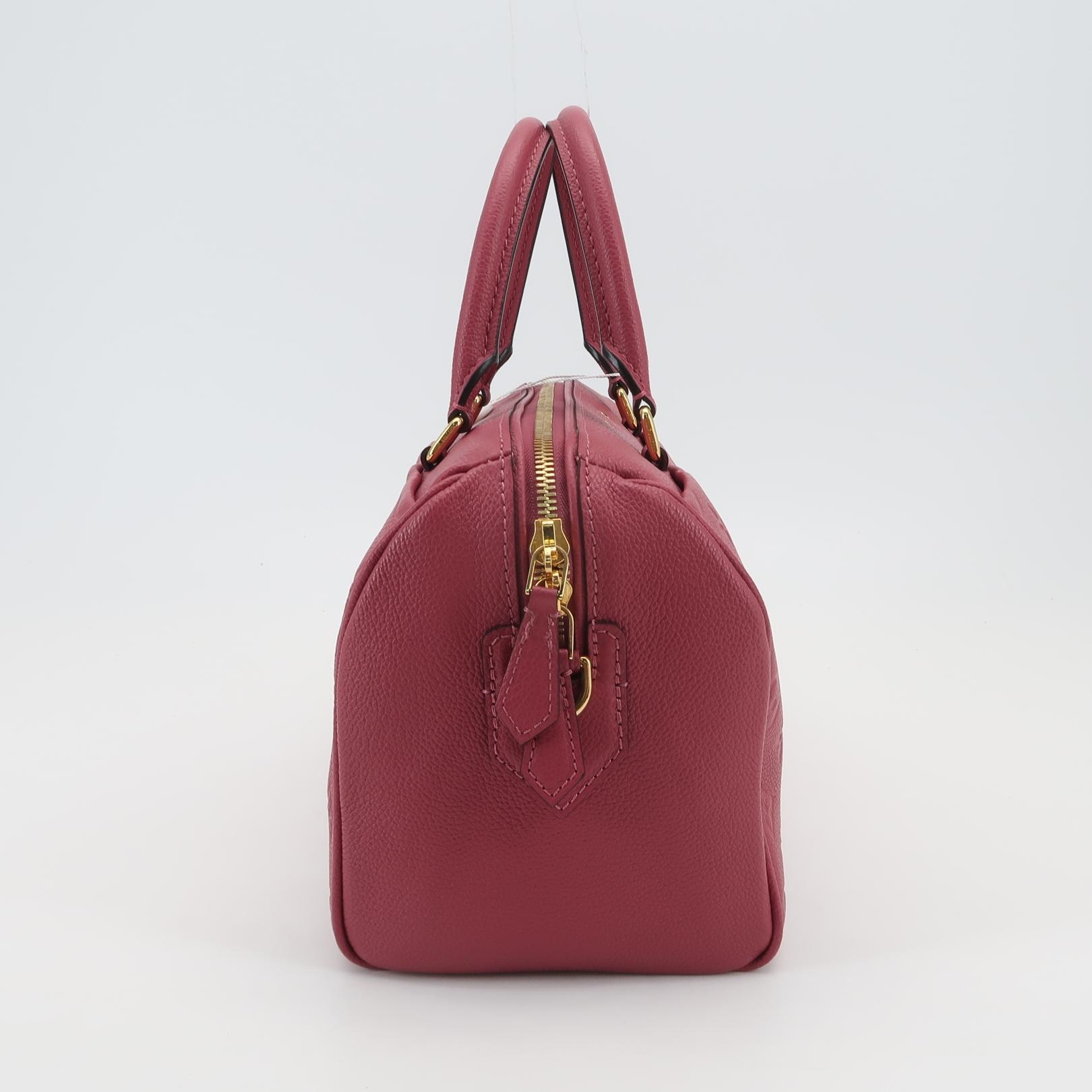 Louis Vuitton(LV) Speedy Bandouliere Bag Damier 25 — photo 3 of 17