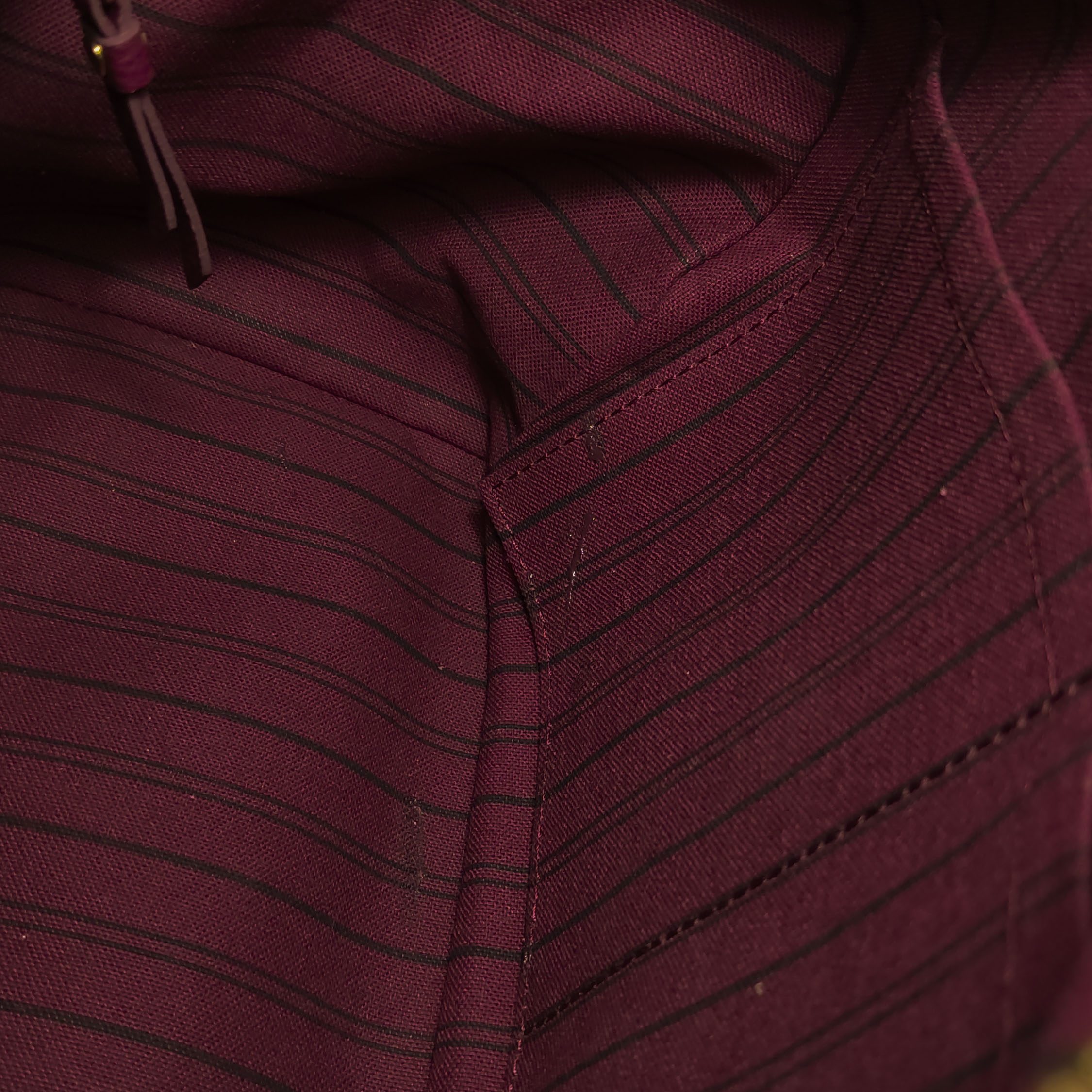 Louis Vuitton(LV) Speedy Bandouliere Bag Damier 25 — photo 13 of 19