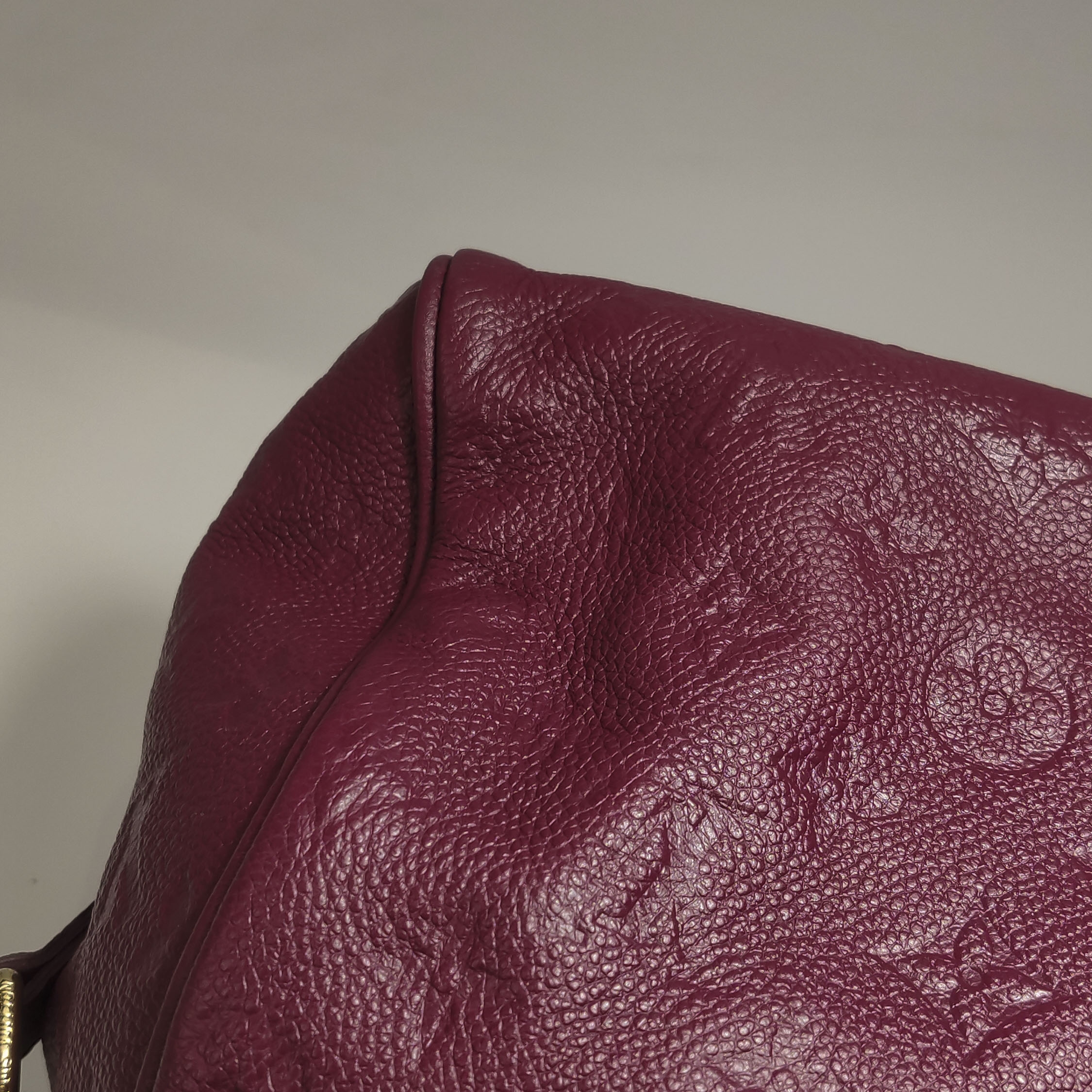 Louis Vuitton(LV) Speedy Bandouliere Bag Damier 25 — photo 19 of 19