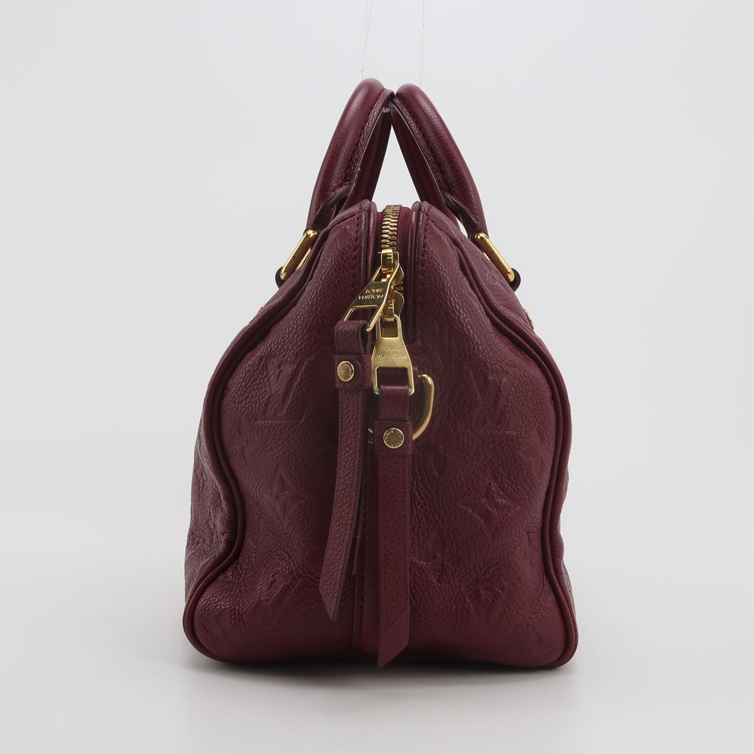 Louis Vuitton(LV) Speedy Bandouliere Bag Damier 25 — photo 4 of 16