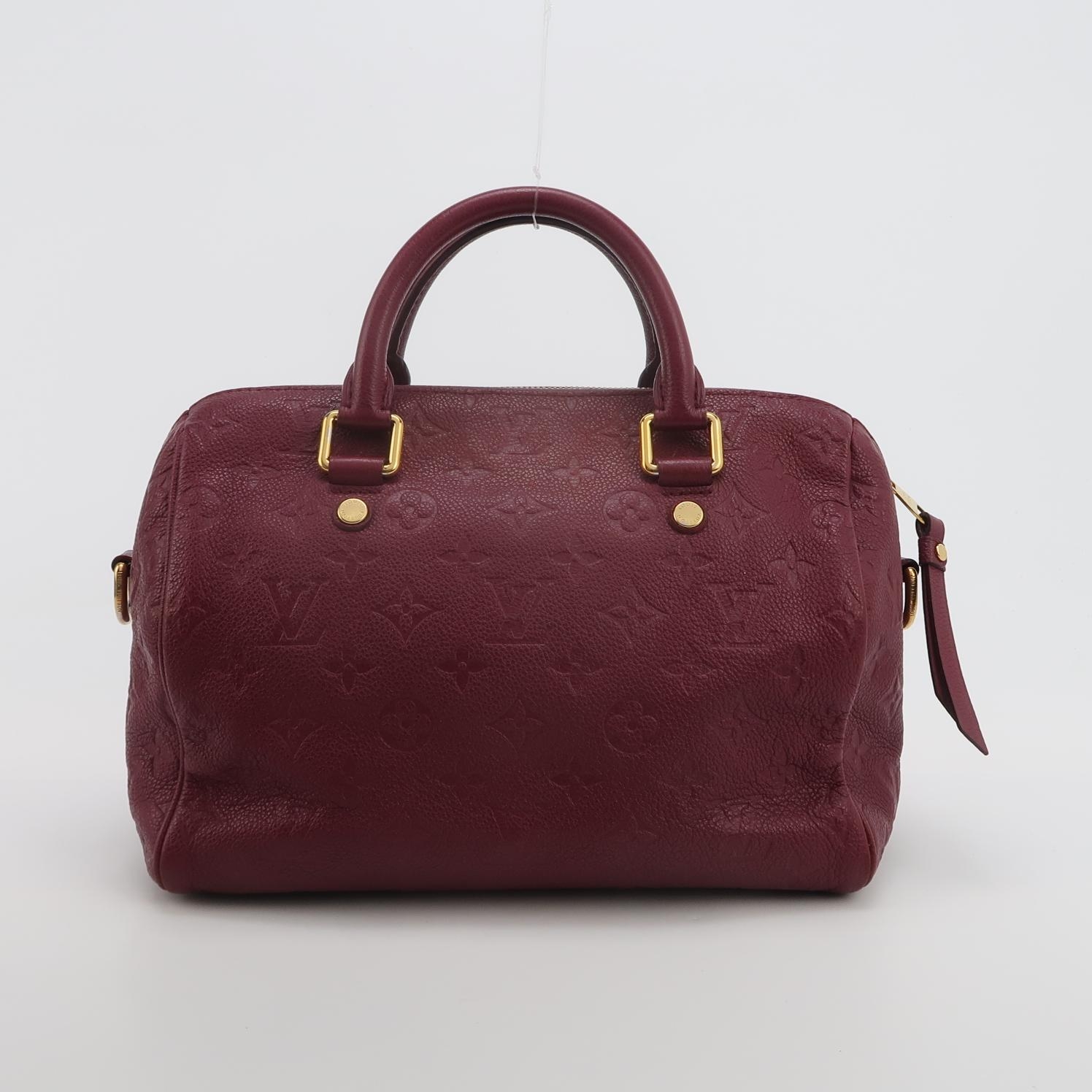 Louis Vuitton(LV) Speedy Bandouliere Bag Damier 25 — photo 5 of 16