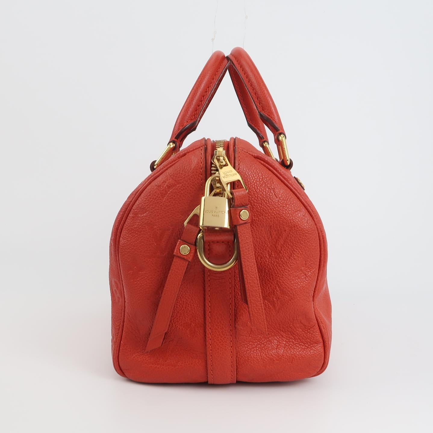 Louis Vuitton(LV) Speedy Bandouliere Bag Damier 25 — photo 4 of 20