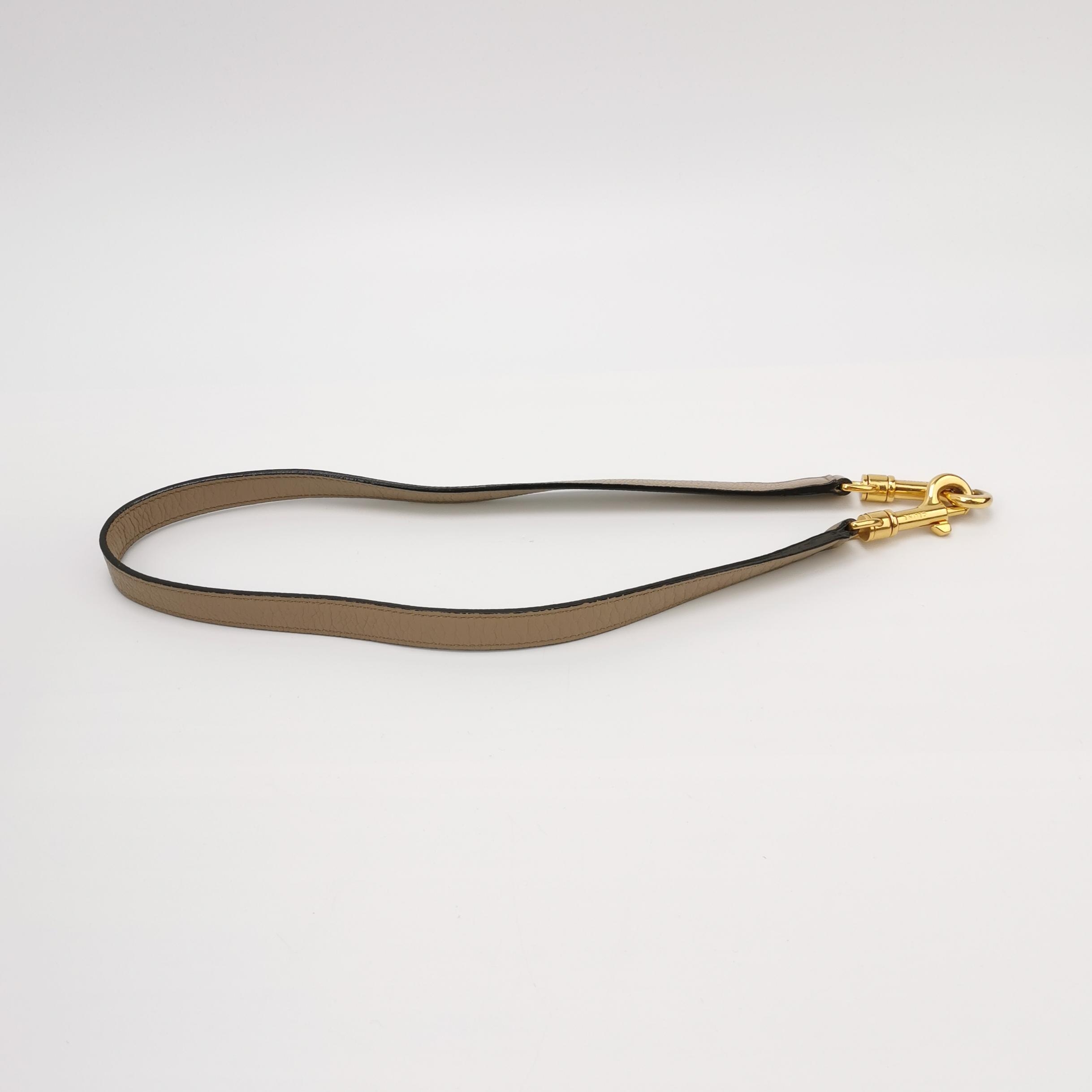 Celine Belt Bag Textured Leather Mini — photo 15 of 18