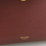 Celine Belt Bag Textured Leather Nano — thumbnail 8