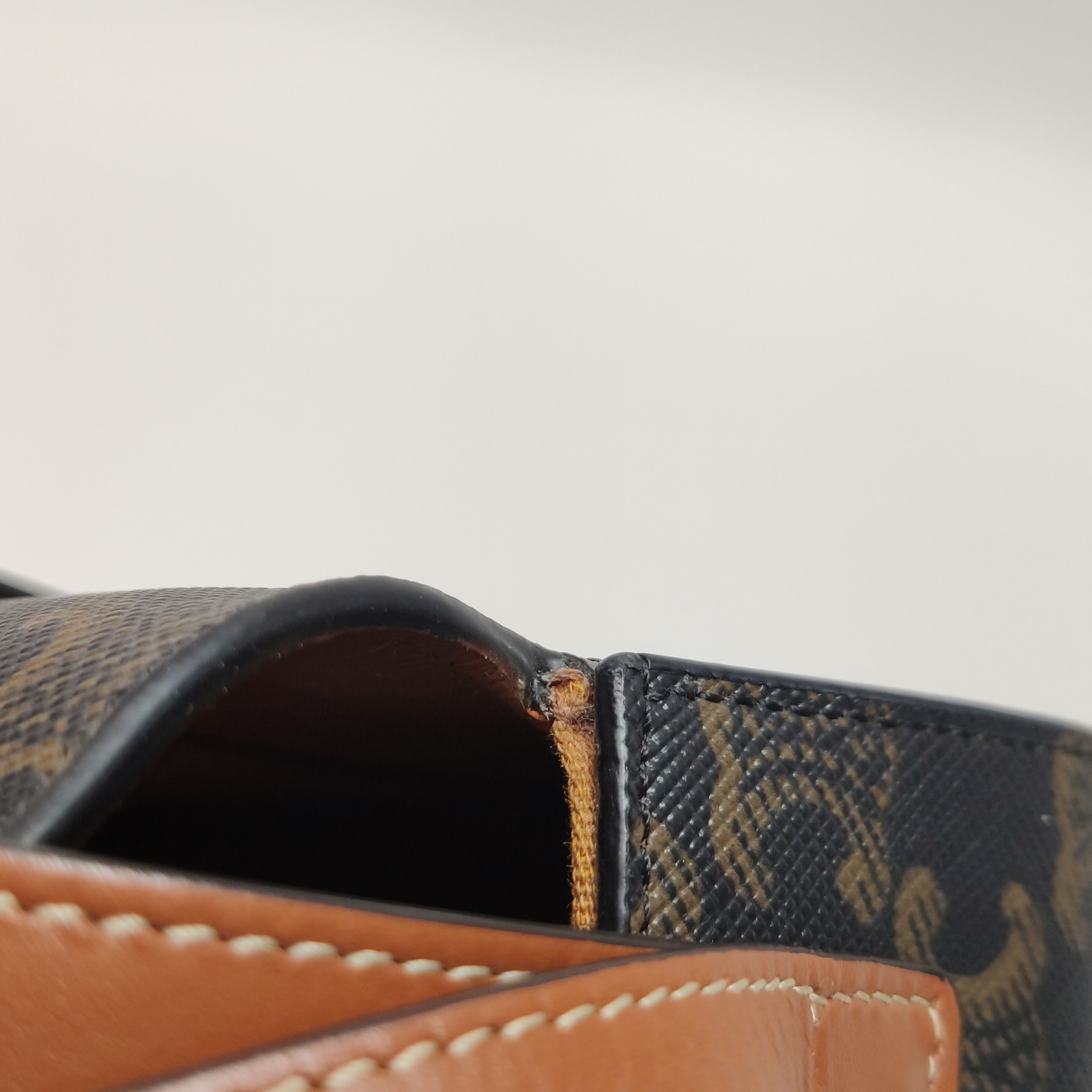 Celine Tabou Clutch with Strap Triomphe Coated Canvas — photo 12 of 12