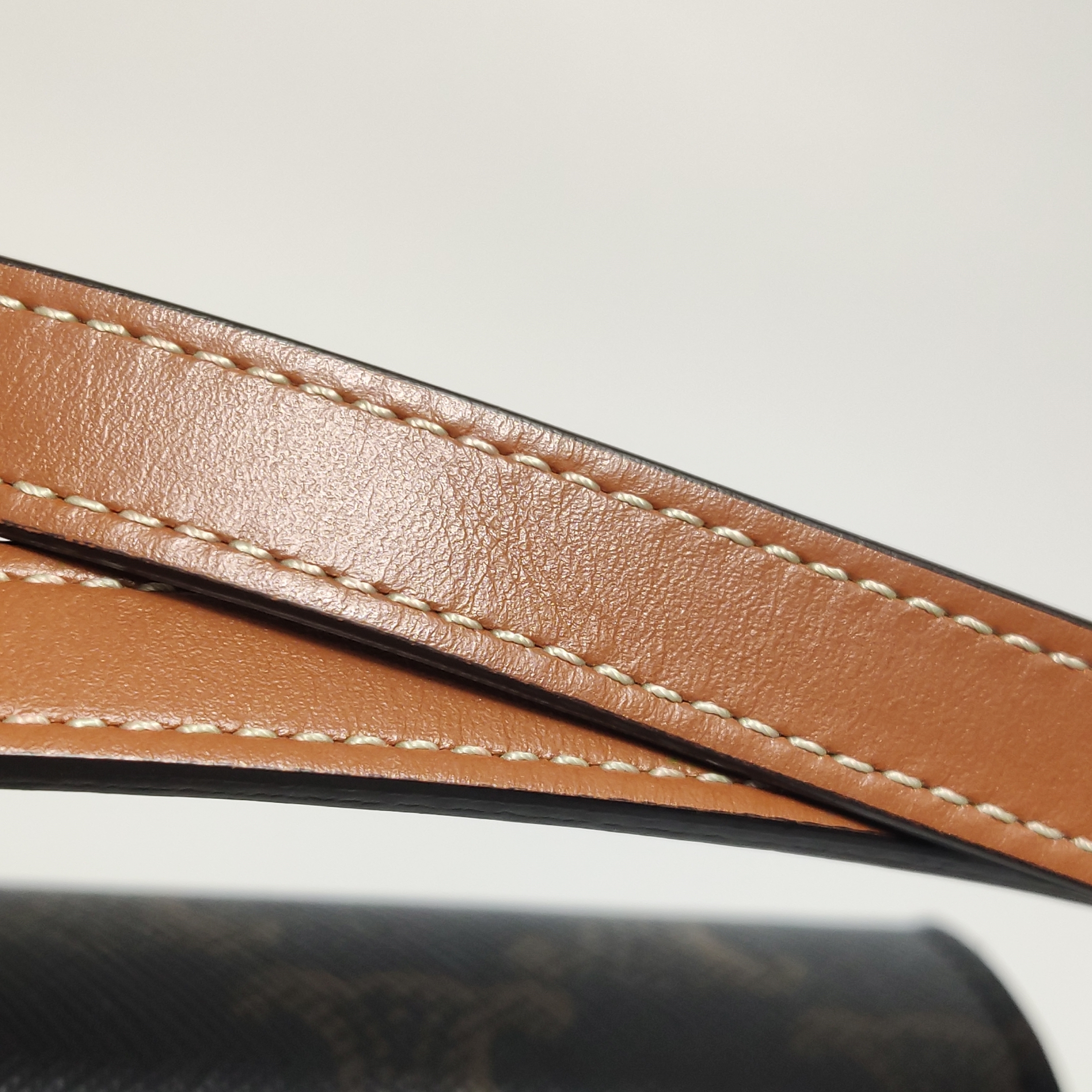 Celine Tabou Clutch with Strap Triomphe Coated Canvas — photo 15 of 15