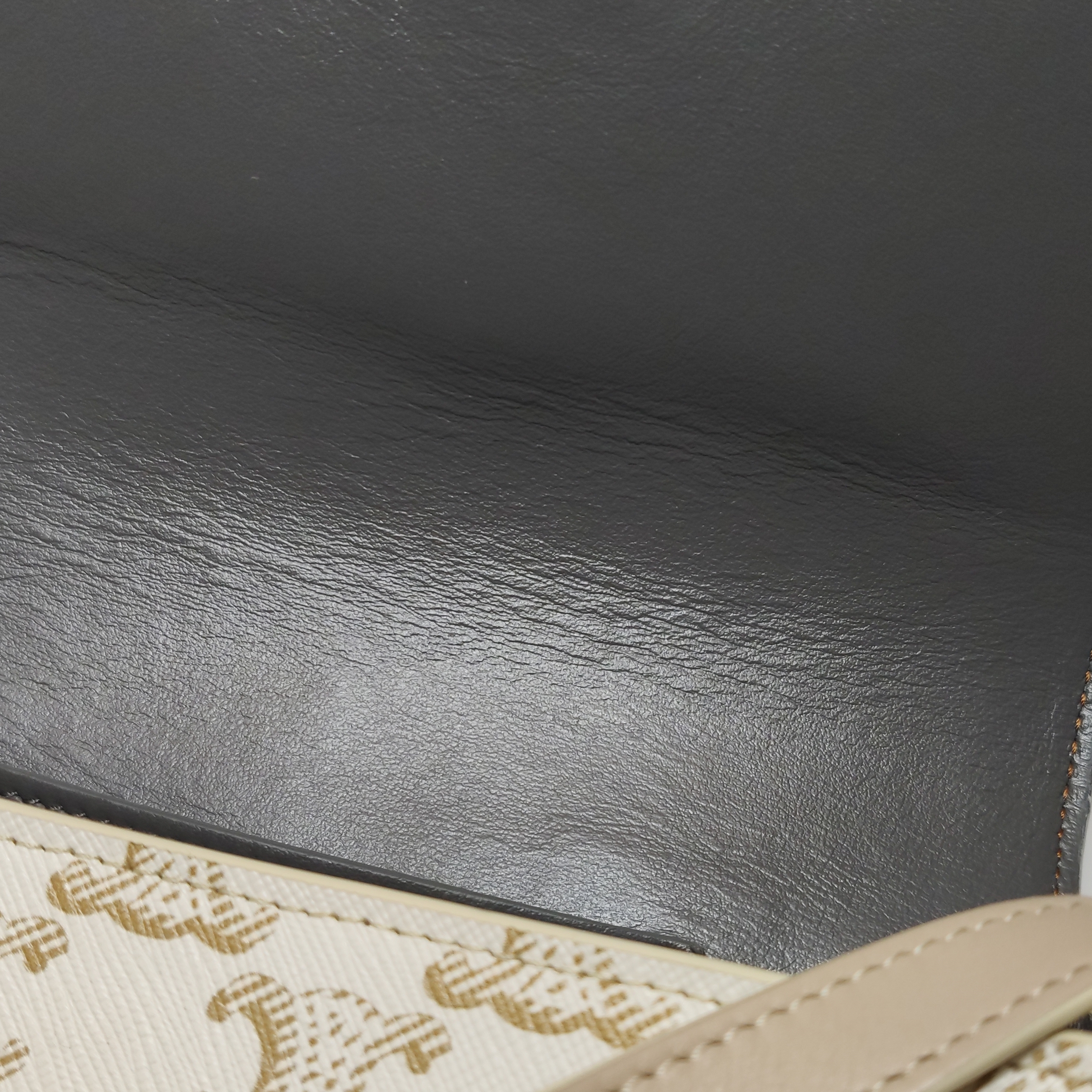 Celine Tabou Clutch with Strap Triomphe Coated Canvas — photo 11 of 14