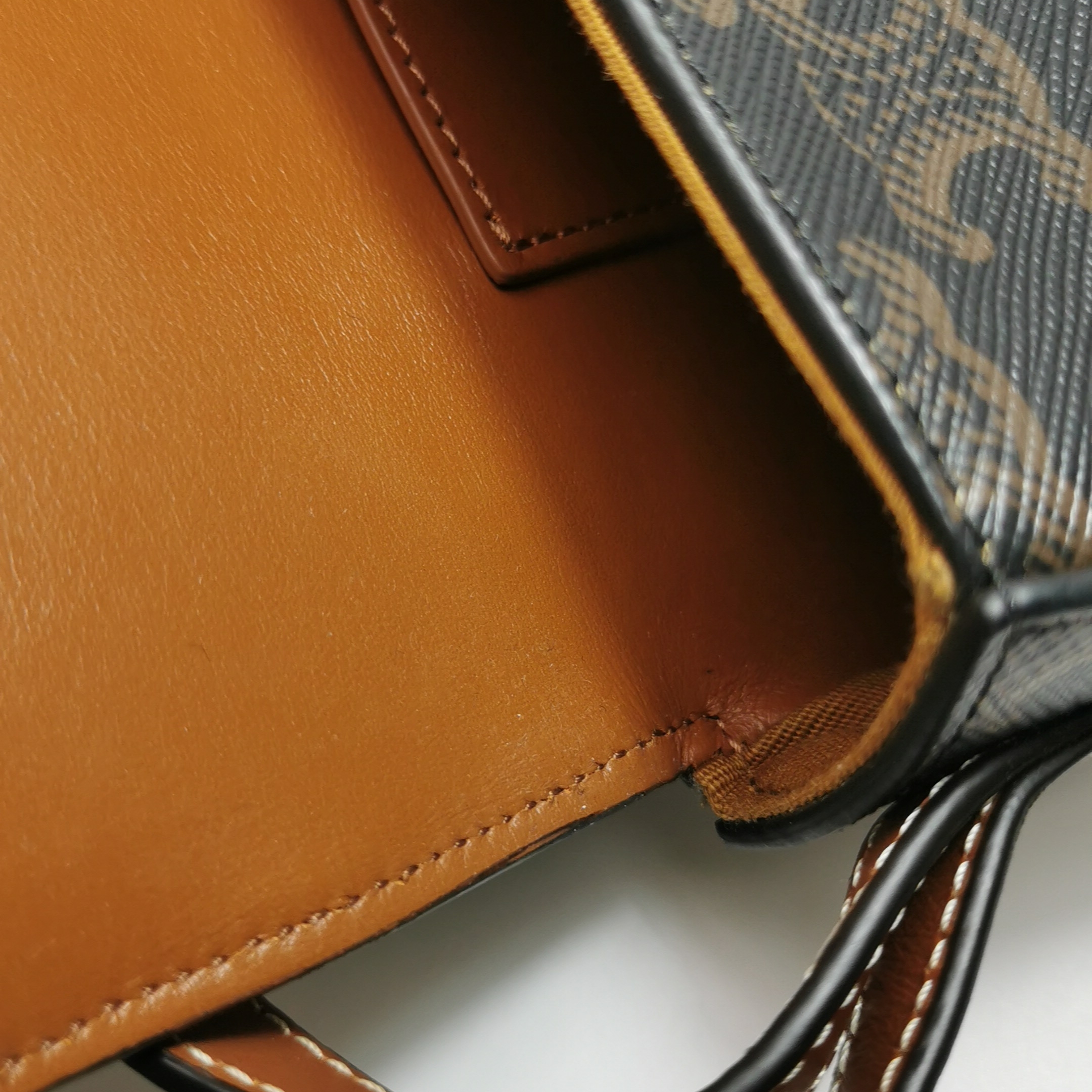 Celine Tabou Clutch with Strap Triomphe Coated Canvas — photo 8 of 15