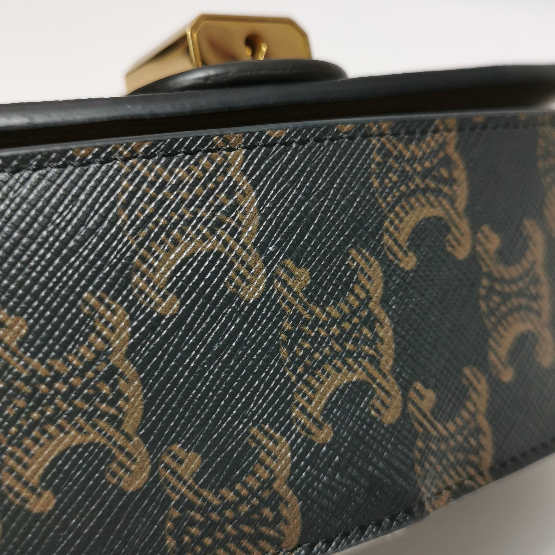 Celine Tabou Clutch with Strap Triomphe Coated Canvas — photo 17 of 17