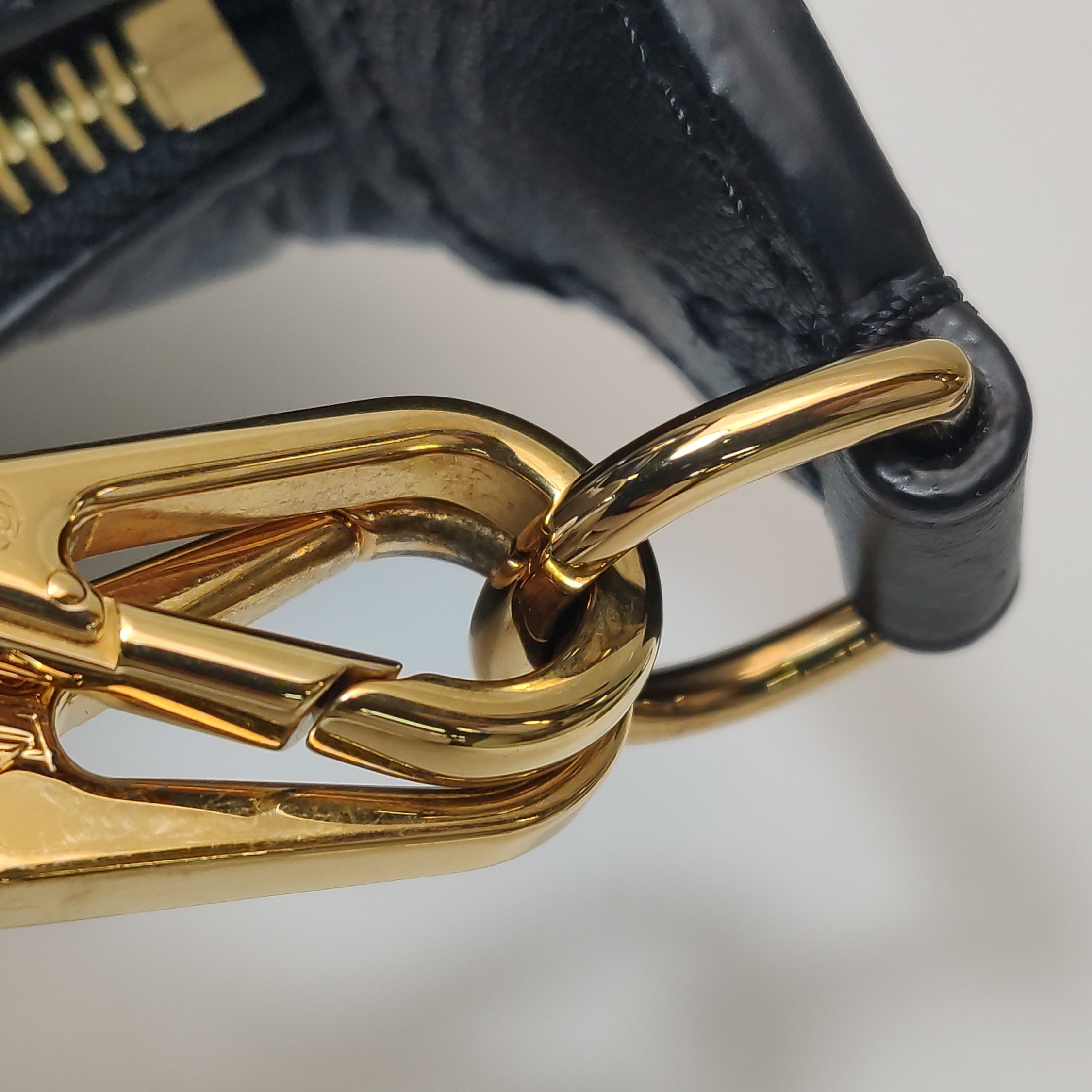 Louis Vuitton(LV) Over The Moon Bag Bubblegram Leather — photo 10 of 16