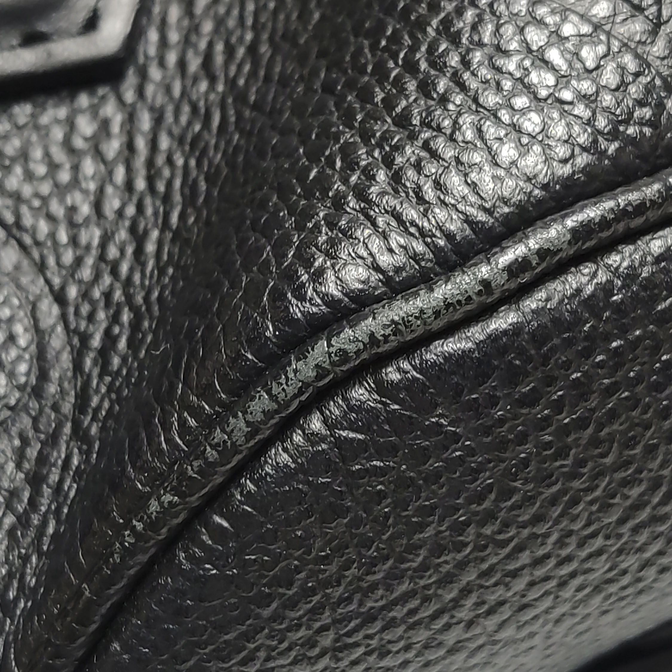 Louis Vuitton(LV) Speedy Bandouliere Bag Monogram Empreinte Giant 20 — photo 8 of 16