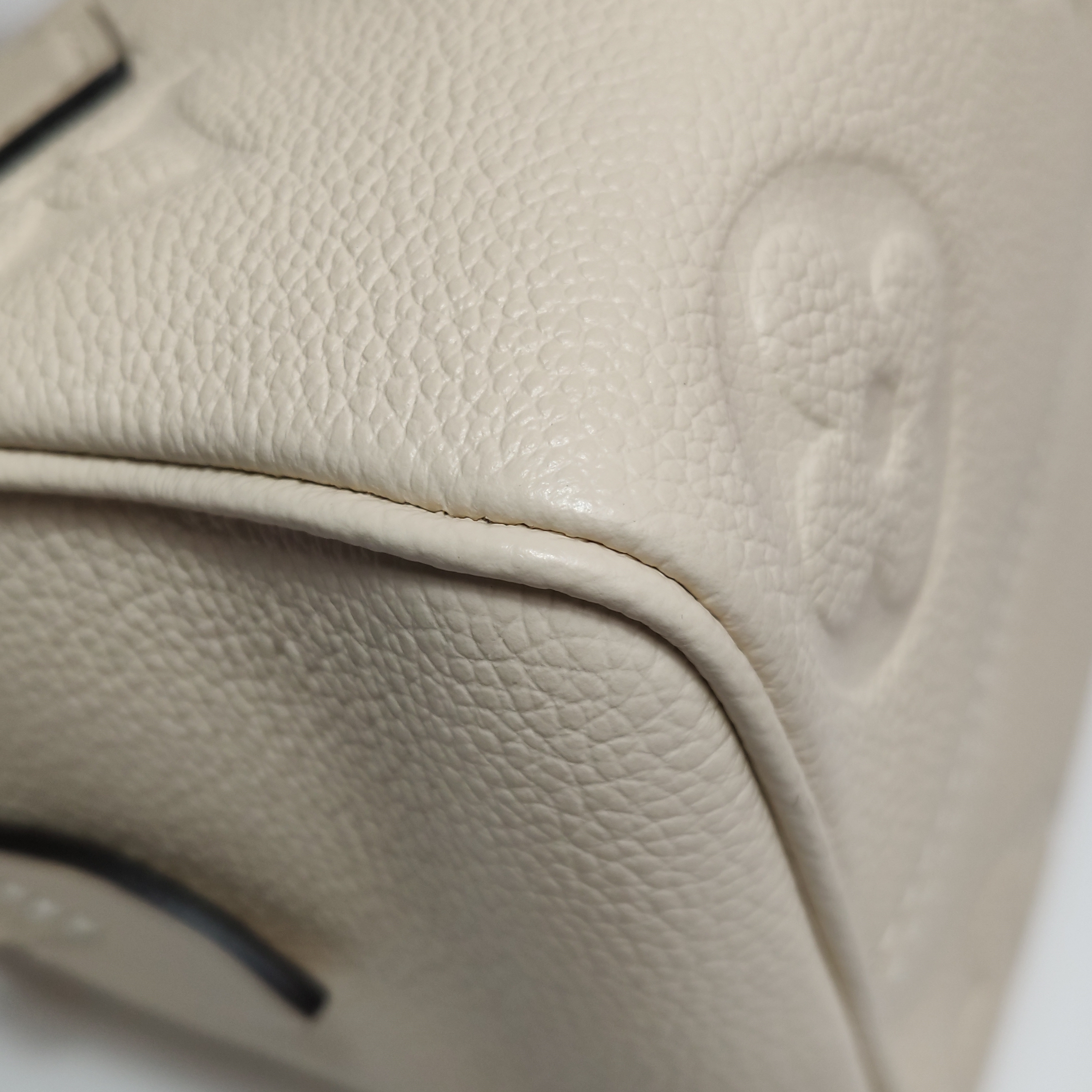 Louis Vuitton(LV) Speedy Bandouliere Bag Monogram Empreinte Giant 20 — photo 11 of 16