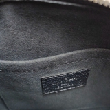 Louis Vuitton(LV) Speedy Bandouliere Bag Monogram Empreinte Giant 20 — thumbnail 10