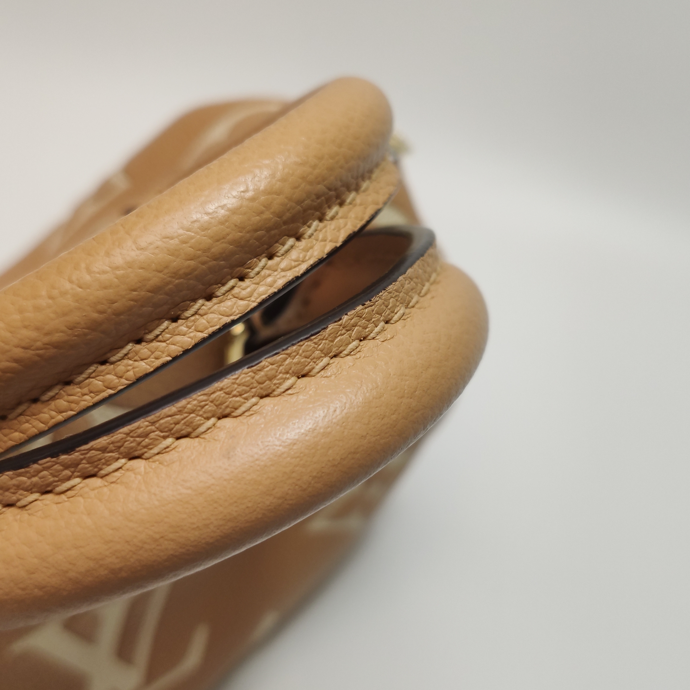 Louis Vuitton(LV) Speedy Bandouliere Bag Monogram Empreinte Giant 20 — photo 13 of 14