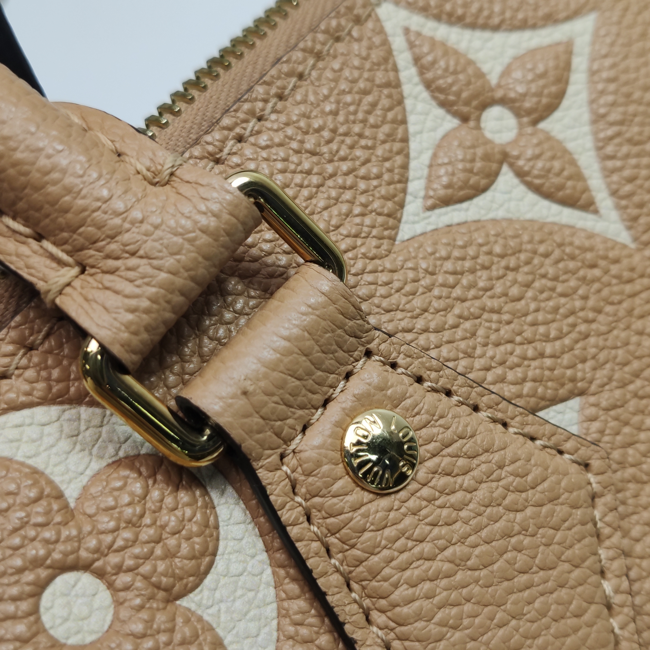 Louis Vuitton(LV) Speedy Bandouliere Bag Monogram Empreinte Giant 20 — photo 10 of 14