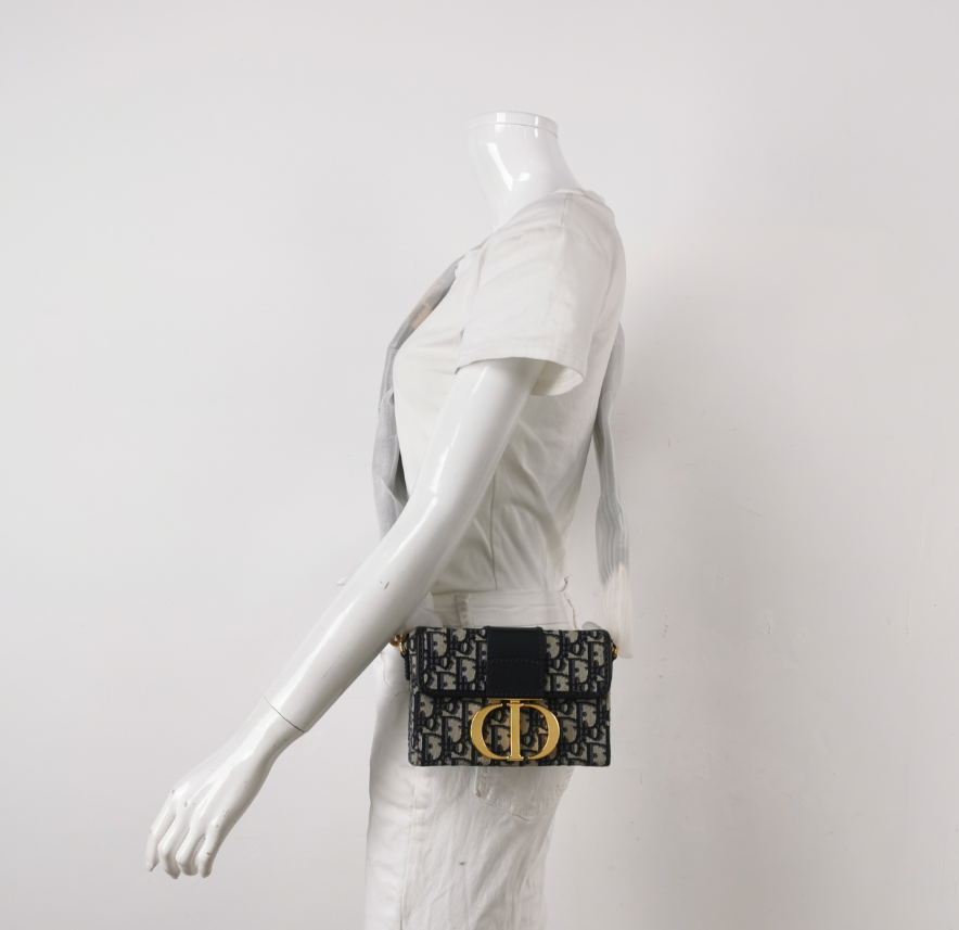 Dior 30 Montaigne Mini Crossbody & Shoulder Bag in Oblique Canvas & Calfskin, 2019