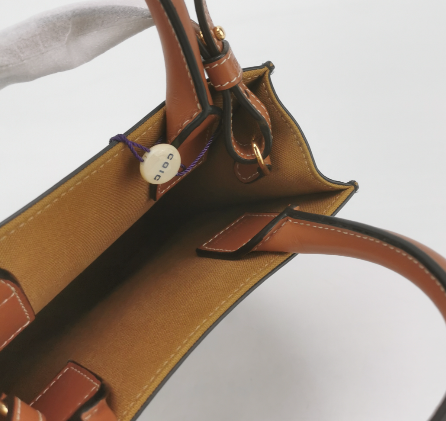 Celine Cabas Mini Tote Bag with Triomphe Logo Print, Calfskin & Coated Canvas