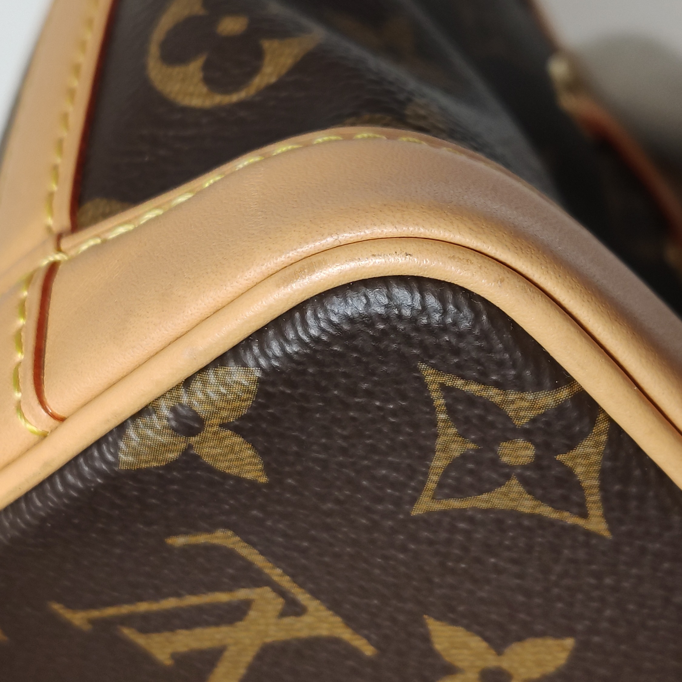Louis Vuitton Noe NM Handbag Monogram Canvas Nano